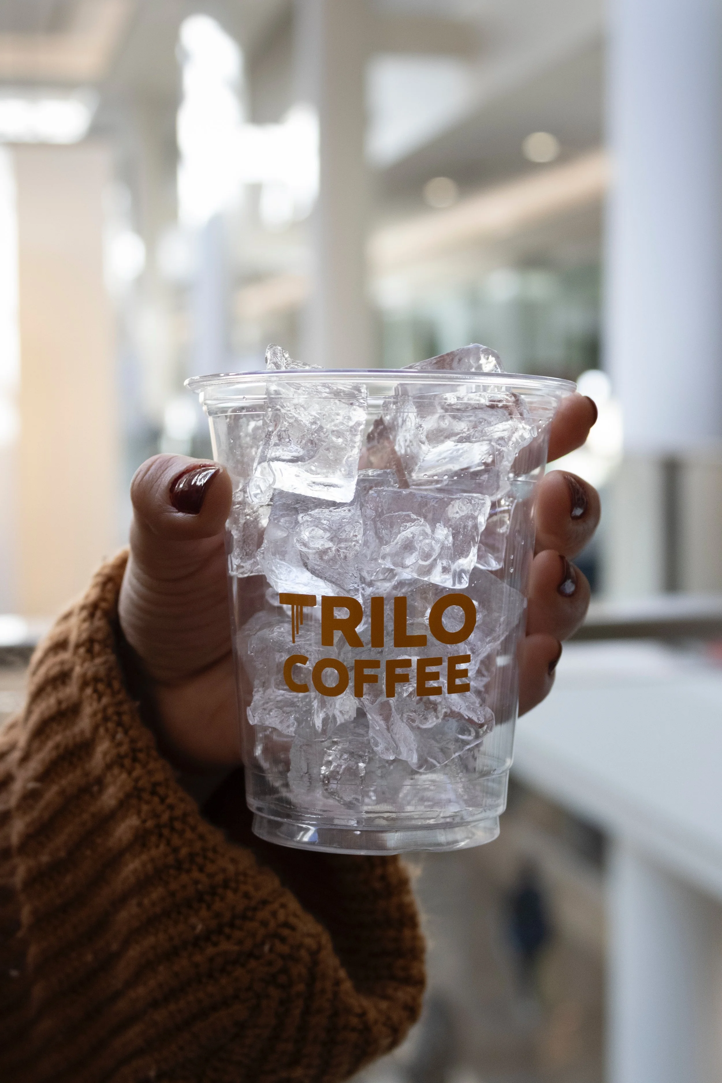 trillo2-143.JPEG