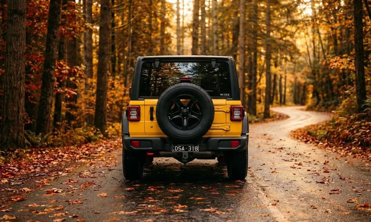 Jeep WRANGLER UNLIMITED 2021 5.jpeg