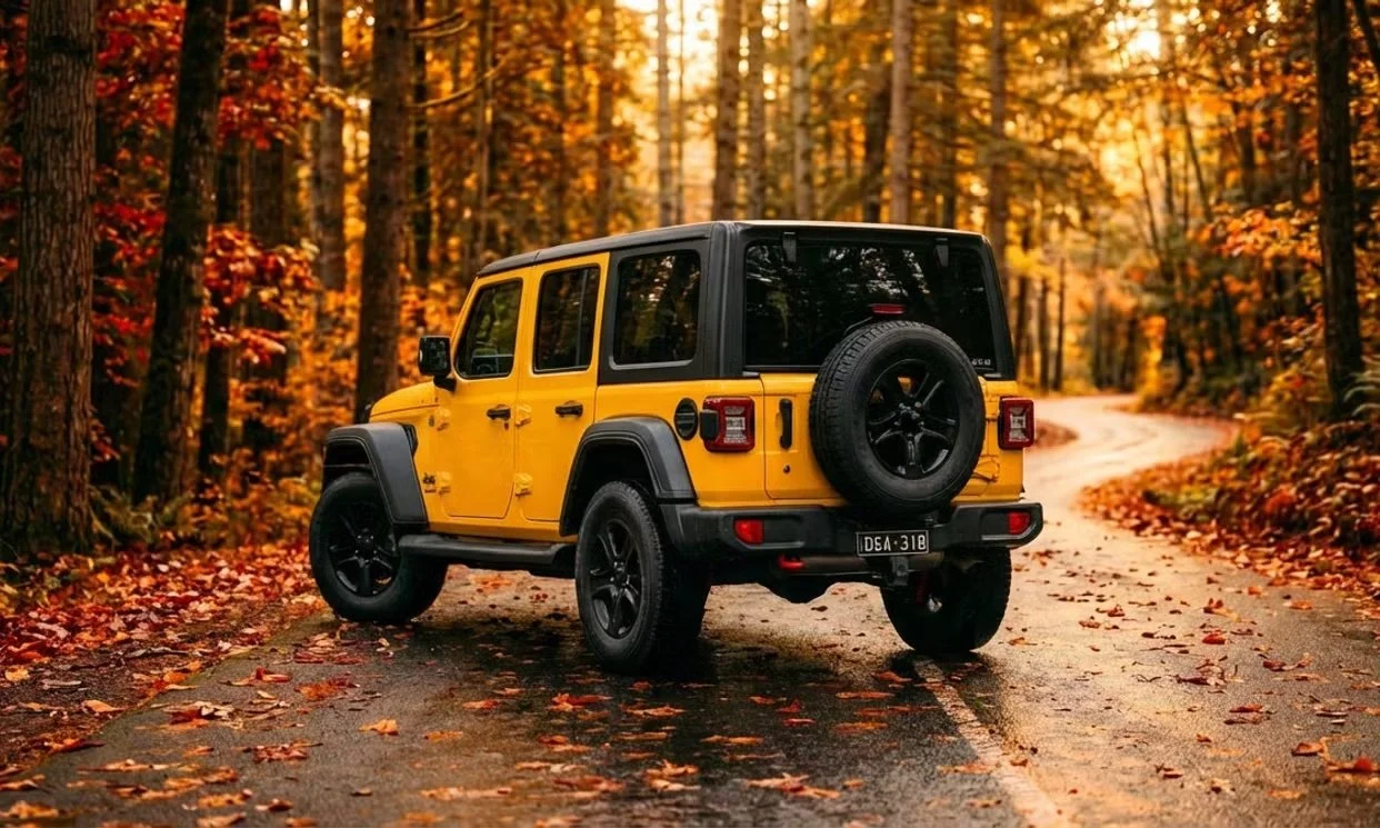 Jeep WRANGLER UNLIMITED 2021 6.jpeg