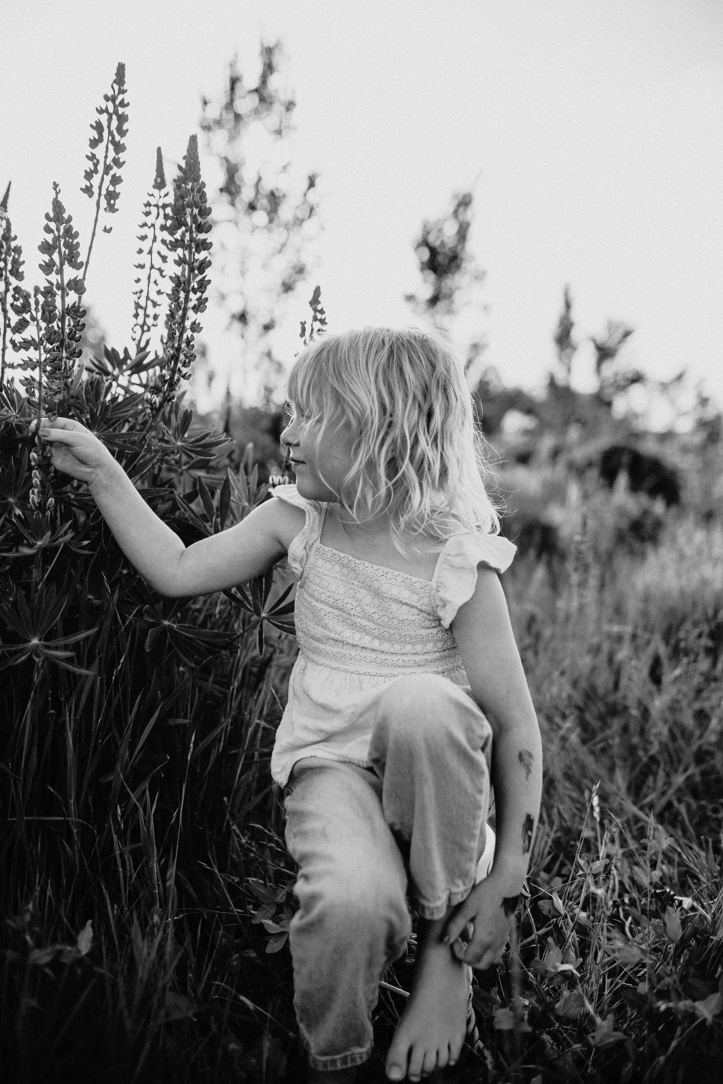 A young girl with curly blonde hair sitting outdoors in a grassy field, reaching out to touch tall flowering plants, in black and white.