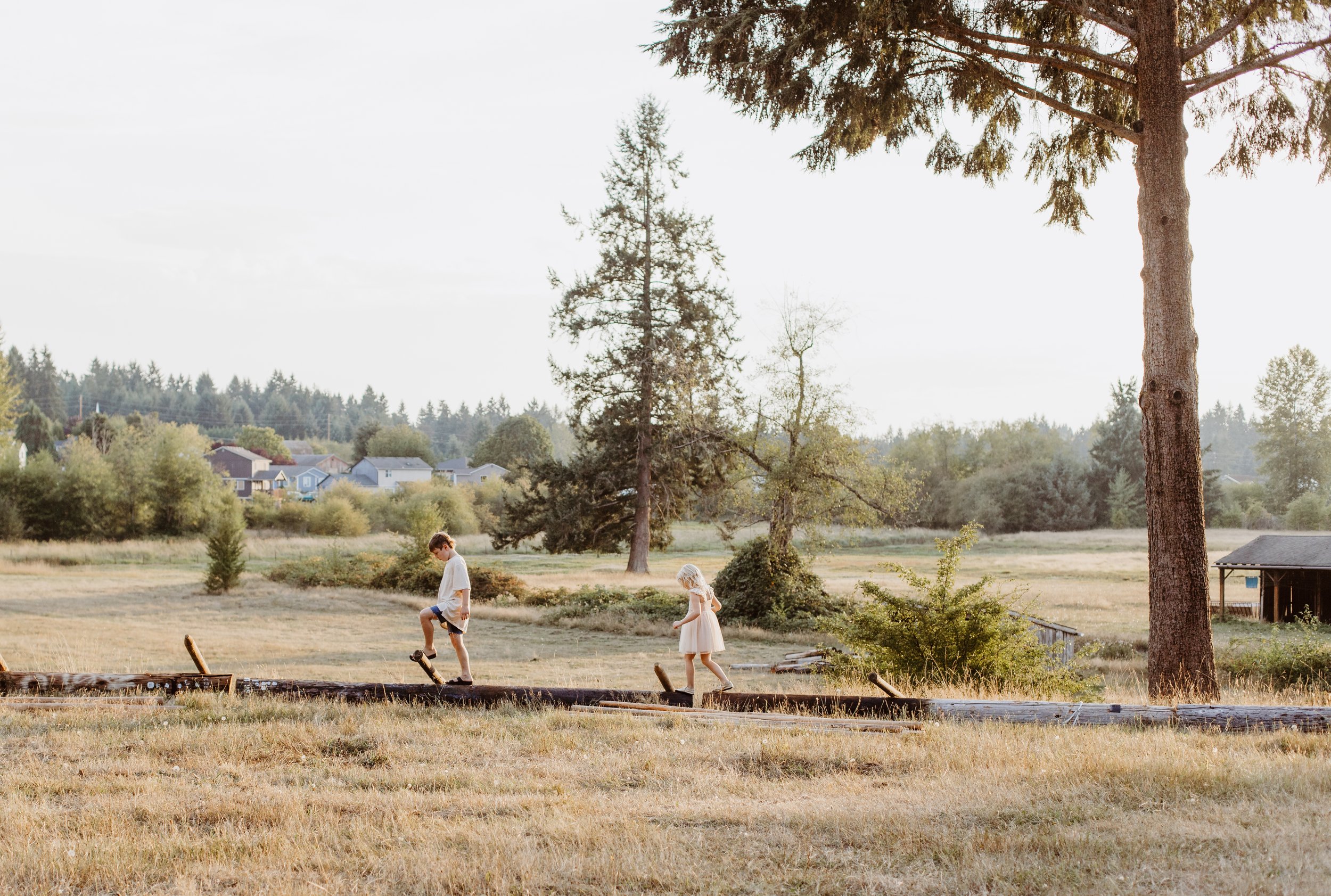 Two children, a boy and a girl, walking on a log in a park or field during late afternoon or early evening. The boy is wearing a white shirt and shorts, while the girl is wearing a light dress. Tall trees, grassy area, and distant houses are visible 