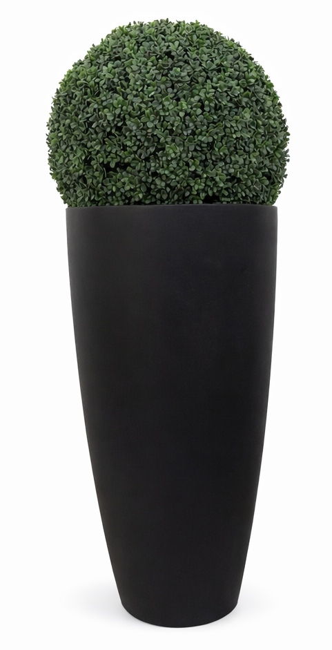 Balck Pot Topiarie