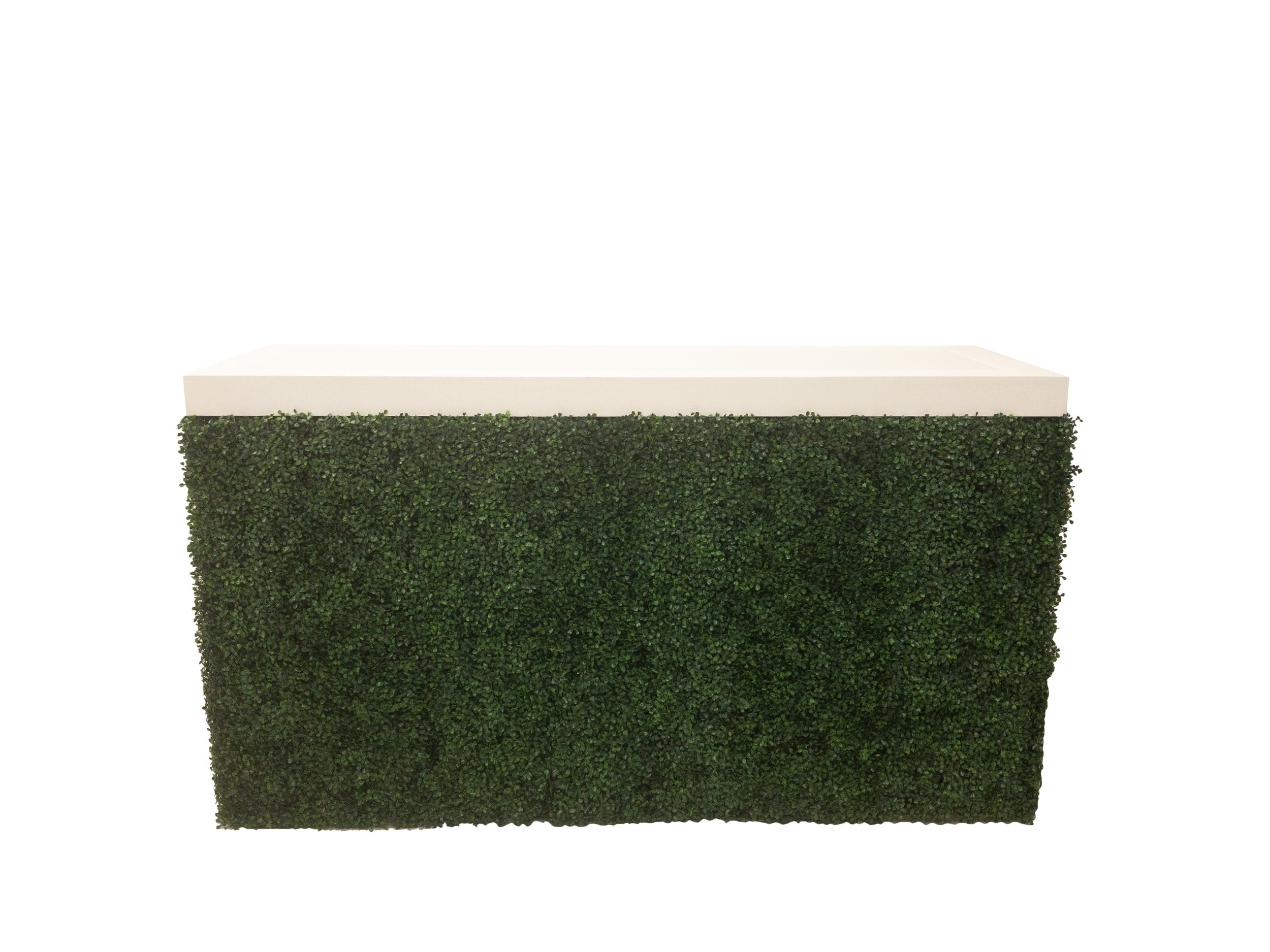 6' Illuminated Hedge