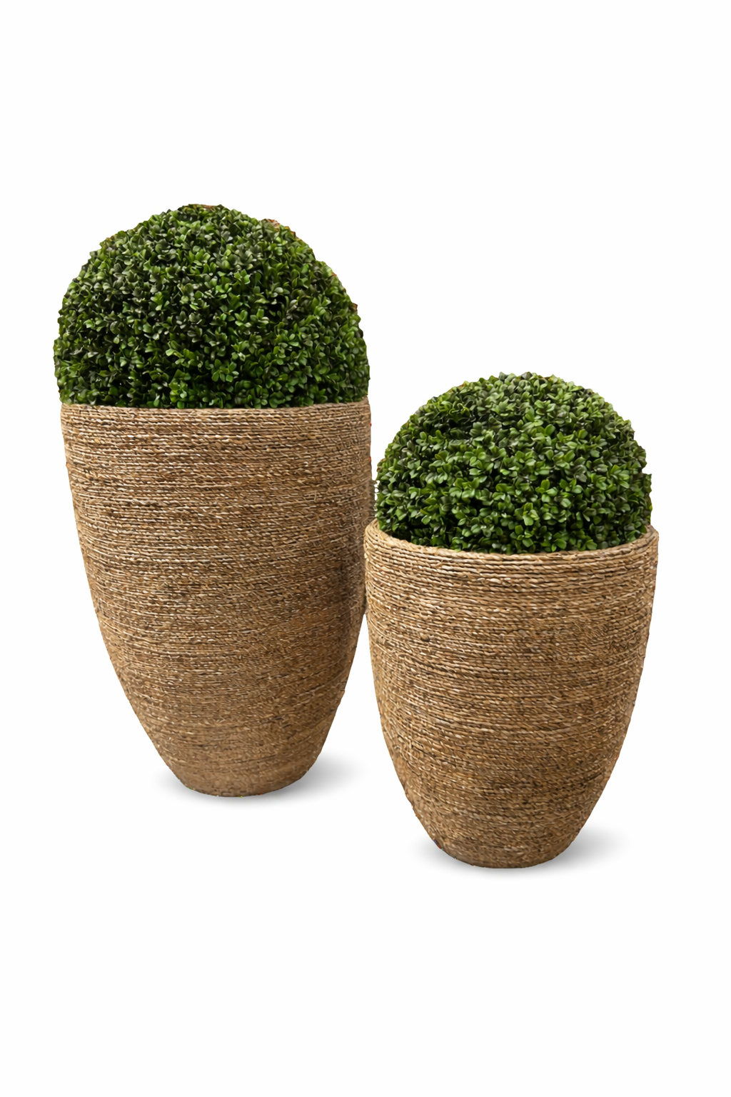 Rattan Pot Topiarie Set