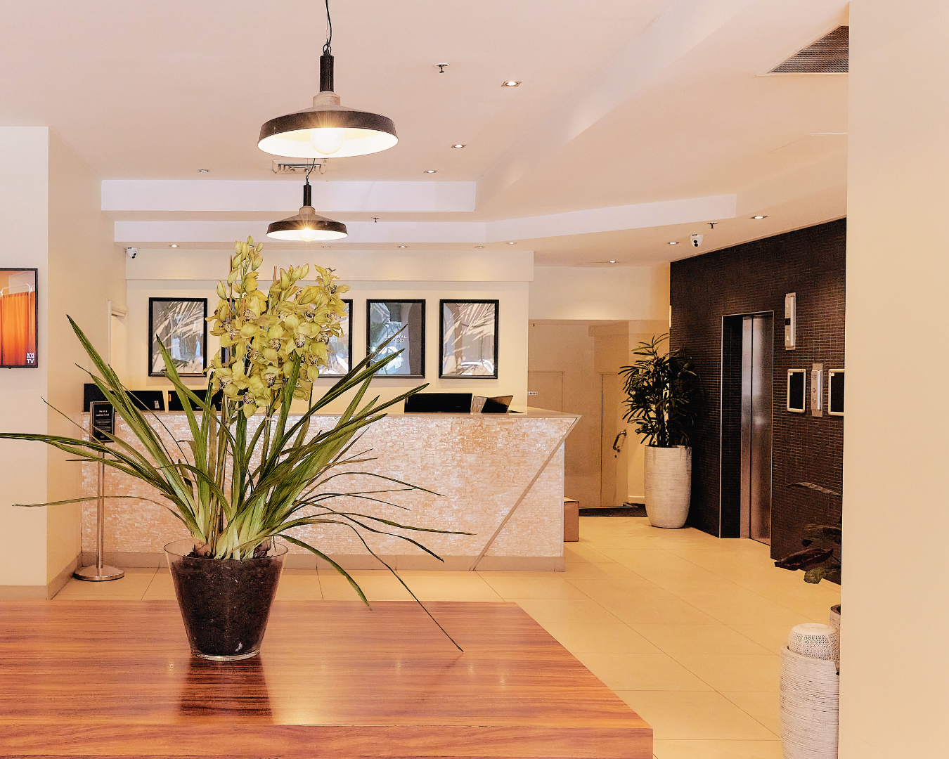 Our Portfolio — SunStar Capital