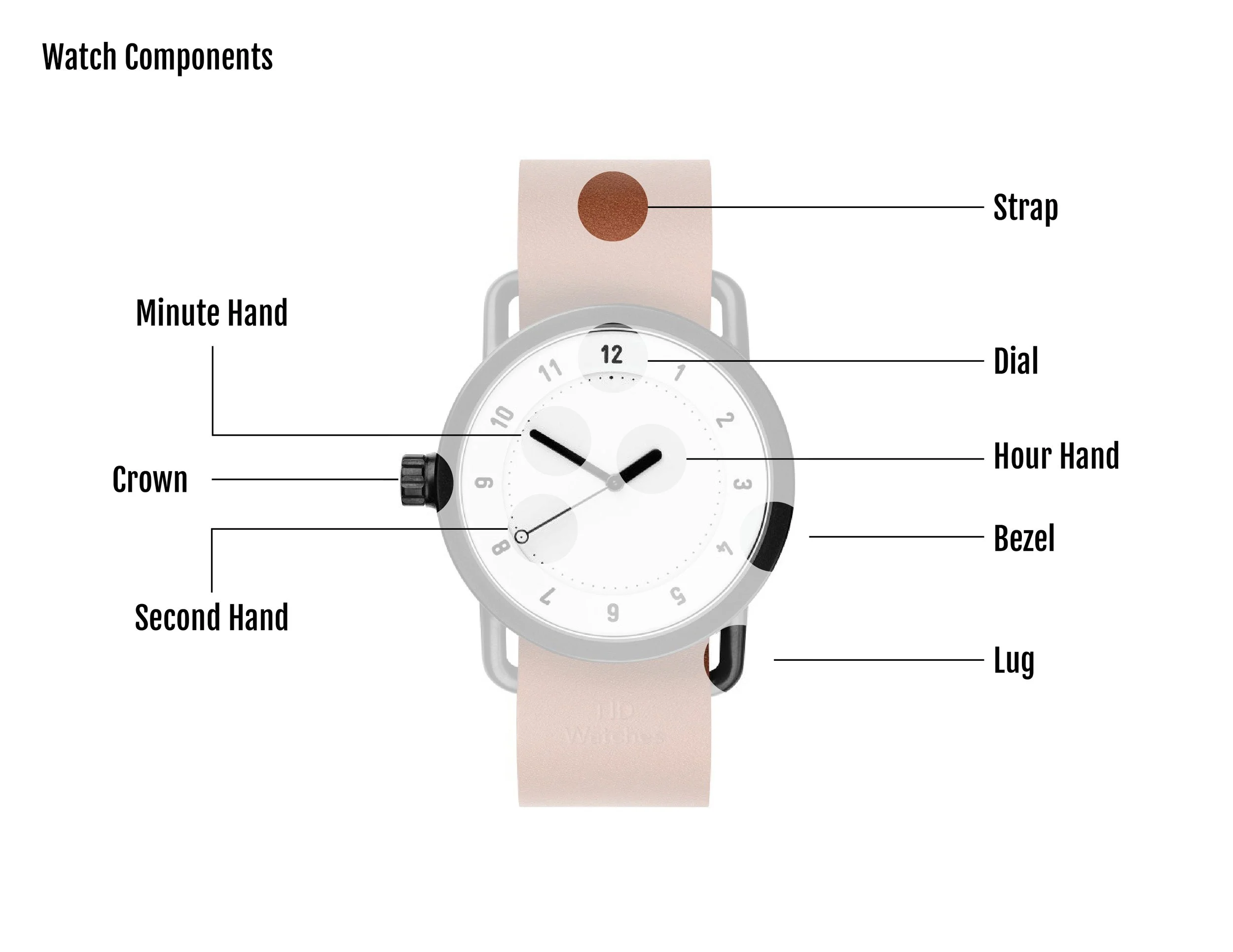 Watch Guide3.jpg