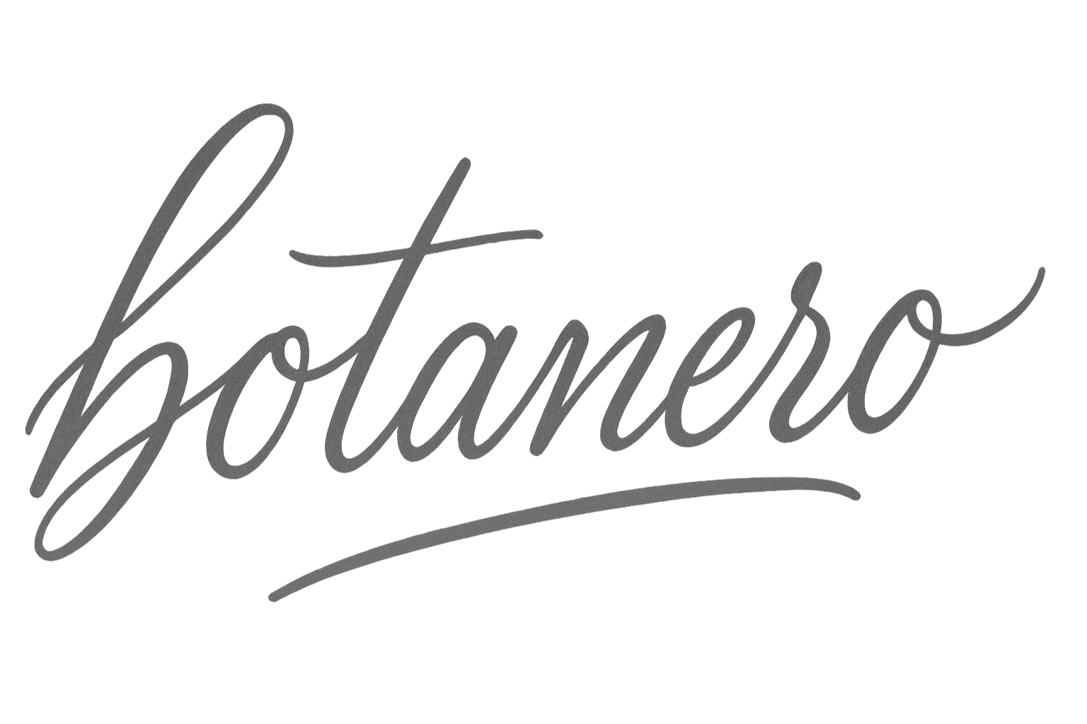Stylized cursive text that reads 'potanoero' in grey.
