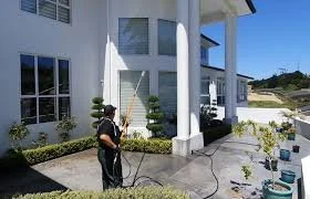 Soft house washing