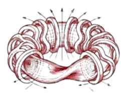 An anatomical diagram of the human brain showing its structure and various regions.