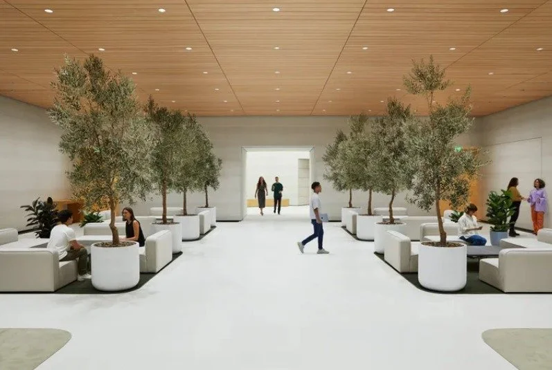 This office lounge blends biophilic design with minimalism, using greenery, warm materials, and open space to create a refreshing and inviting work environment.

Bringing nature to the workplace&mdash;this serene office lounge blends minimalist desig