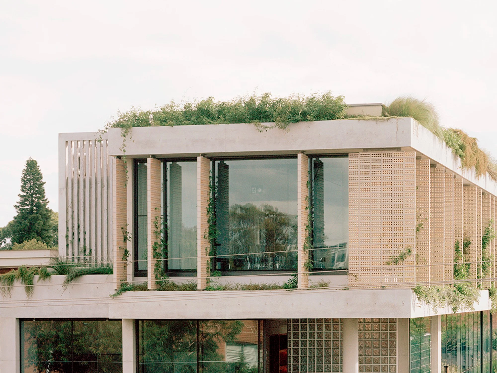 Rochester Street Office: A Workplace Immersed in Landscape, Craft, and Collective Making