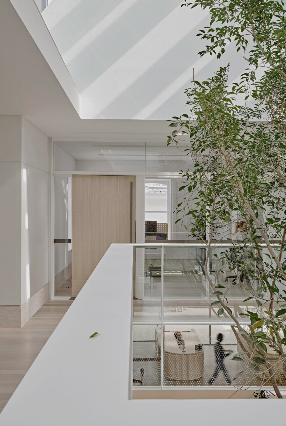 Campbell House Private Office: Where Design Softens the Boundary Between Inside and Out