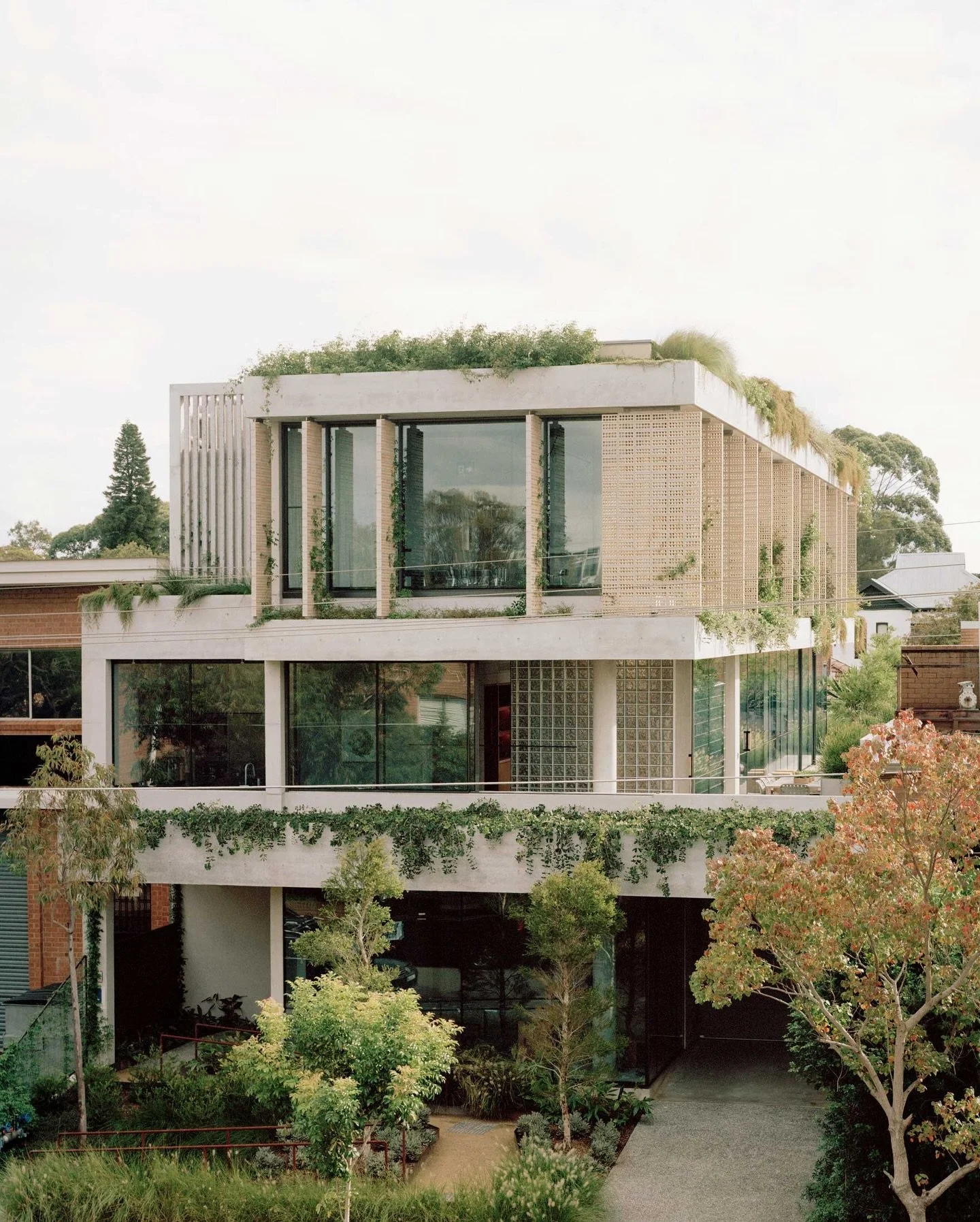 @robertplumb.collective Rochester Street Office stands out amongst an industrial landscape with its cascading green rooftops. 

This project stands as a benchmark for value-led design, where sustainability, biophilia and culture remain central throug
