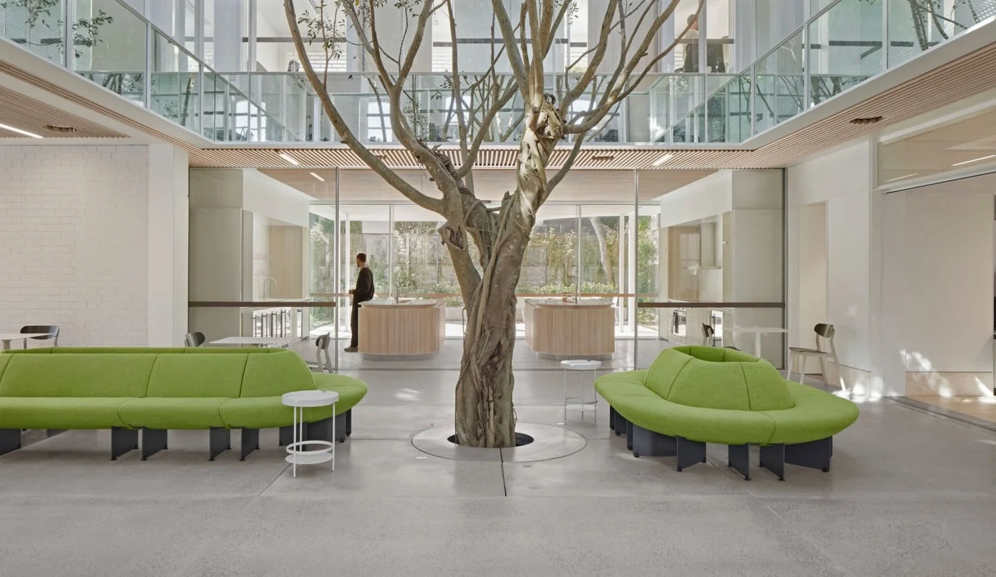 Tonkin Zulaikha Greer&rsquo;s design for Campbell House is nothing short of impressive. 

The space boasts 91 solar panels, restoration work, master stonemasonry, skylighting and a 35 year old, 8 metre high Weeping Fig tree towering through the centr