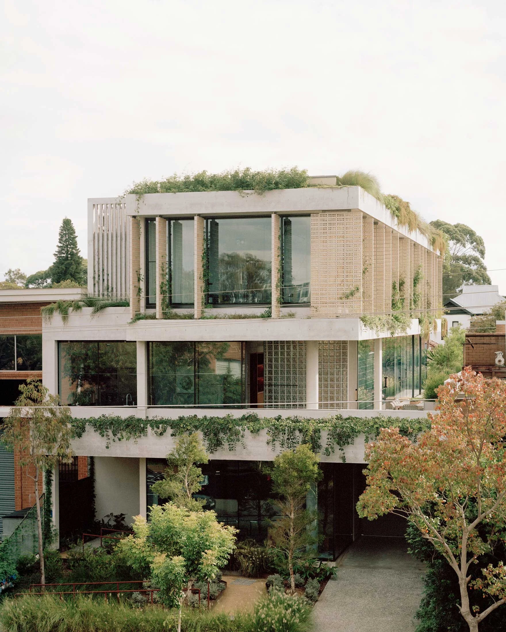 Rochester Street Office: A Workplace Immersed in Landscape, Craft, and ...