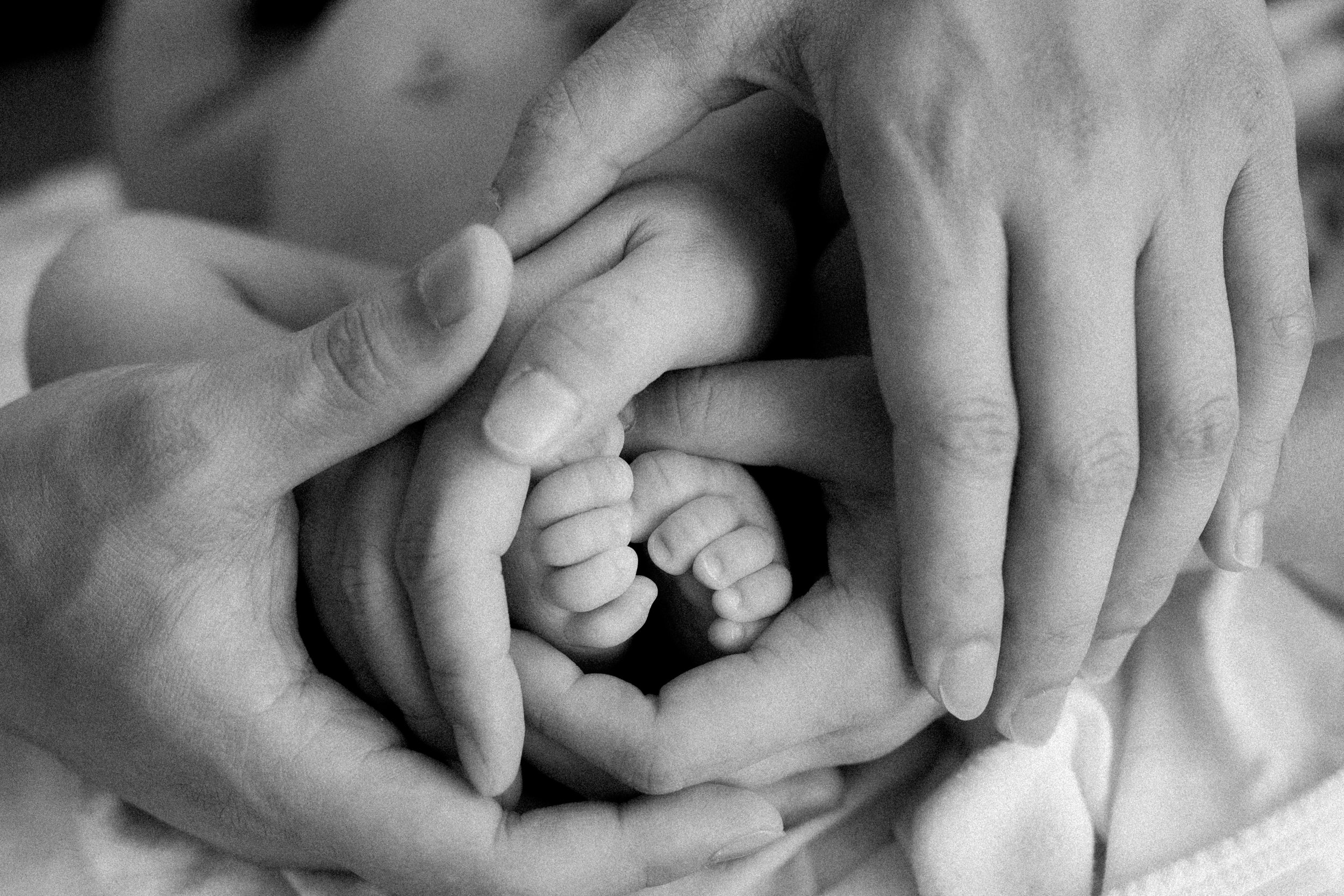  A sweet close-up on the newborn baby's feet, held gently by the parents. 