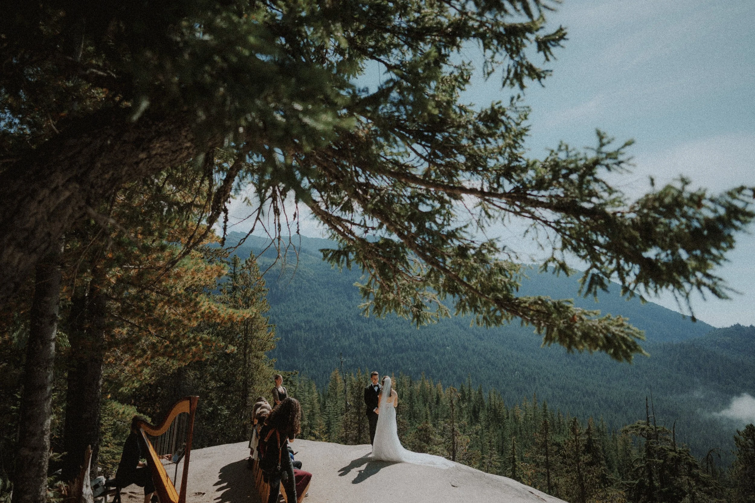 Mountain wedding ceremony viewed through shaded evergreen branches beside a harp.