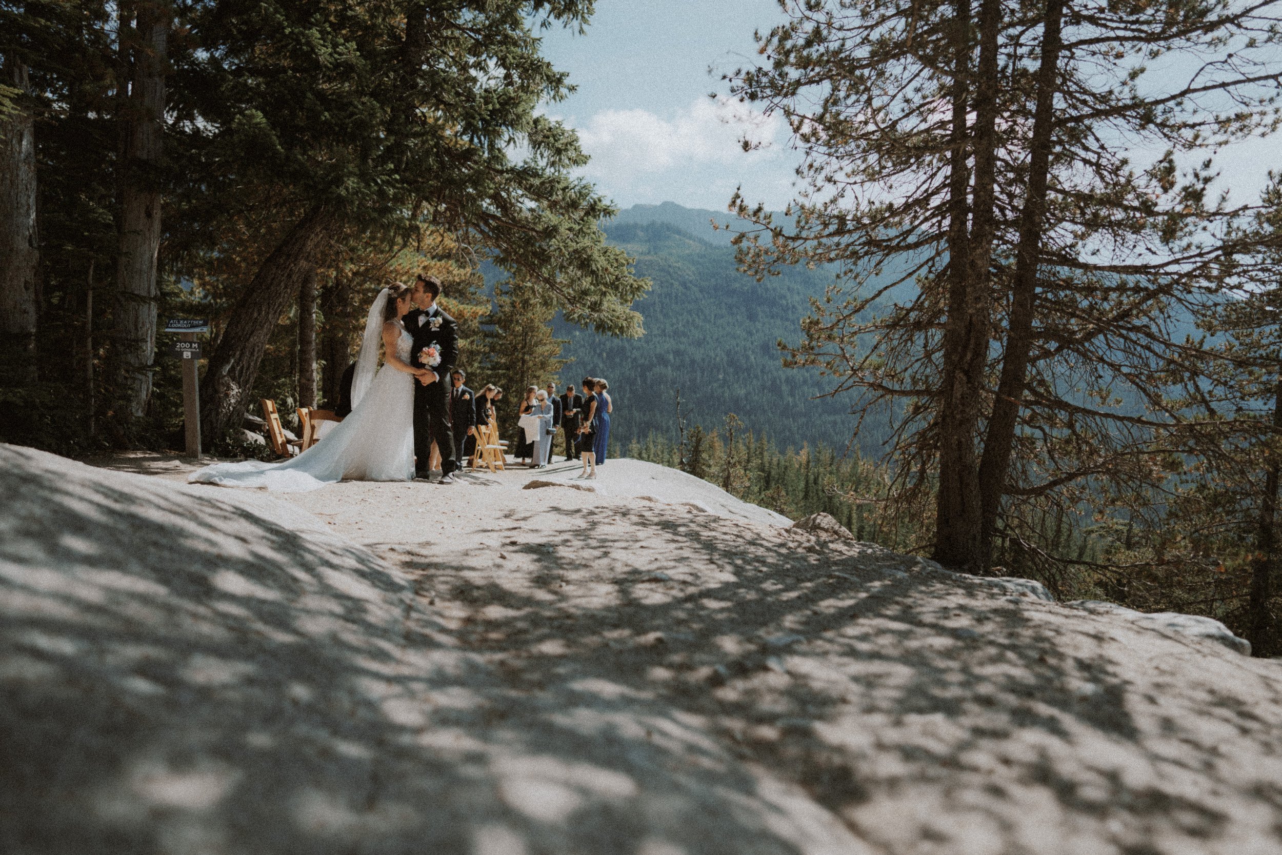 Wide view of the bride and groom beneath a tree on the rocky mountain viewpoint.