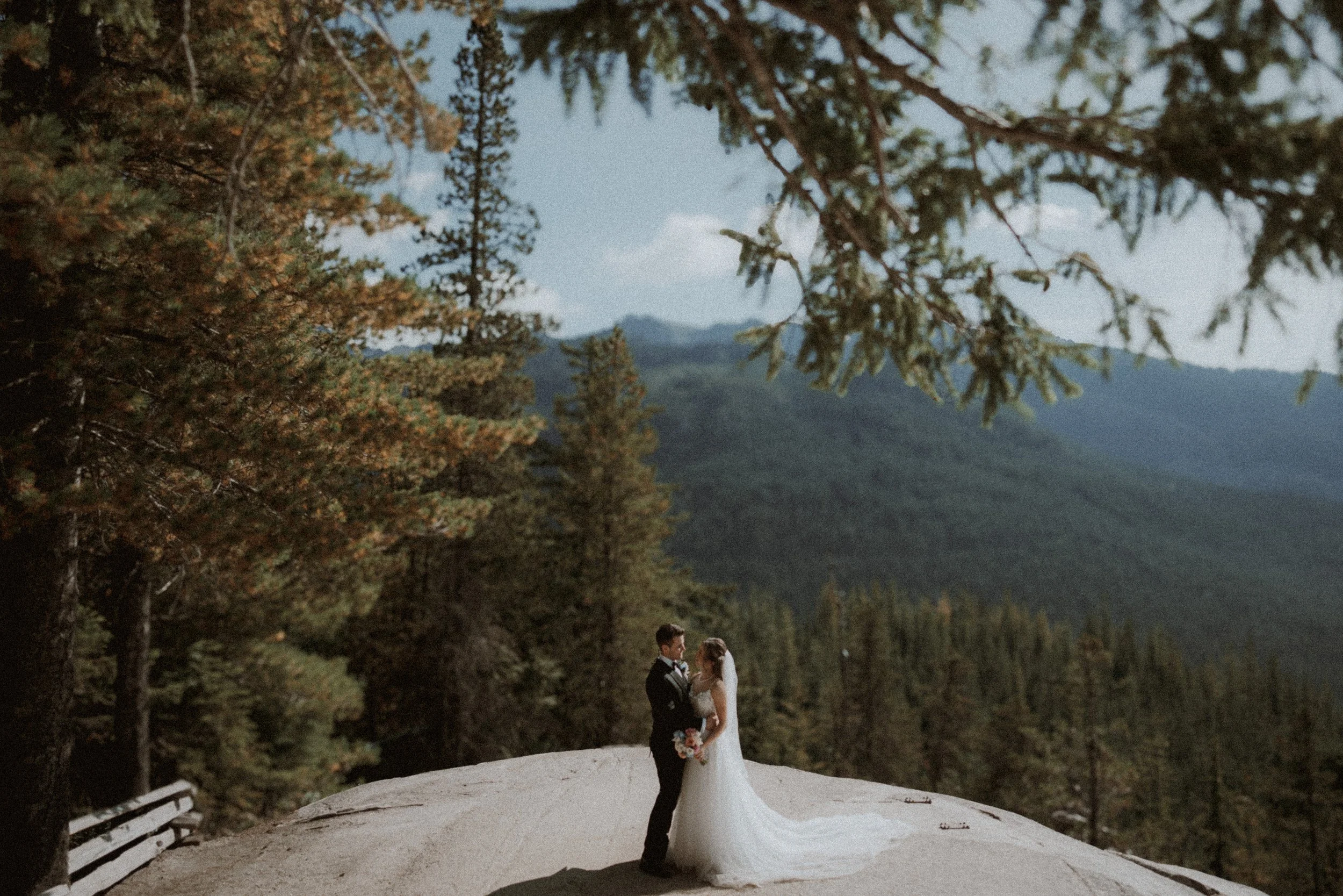 Bride and groom kissing on a rocky viewpoint above the evergreen forest.