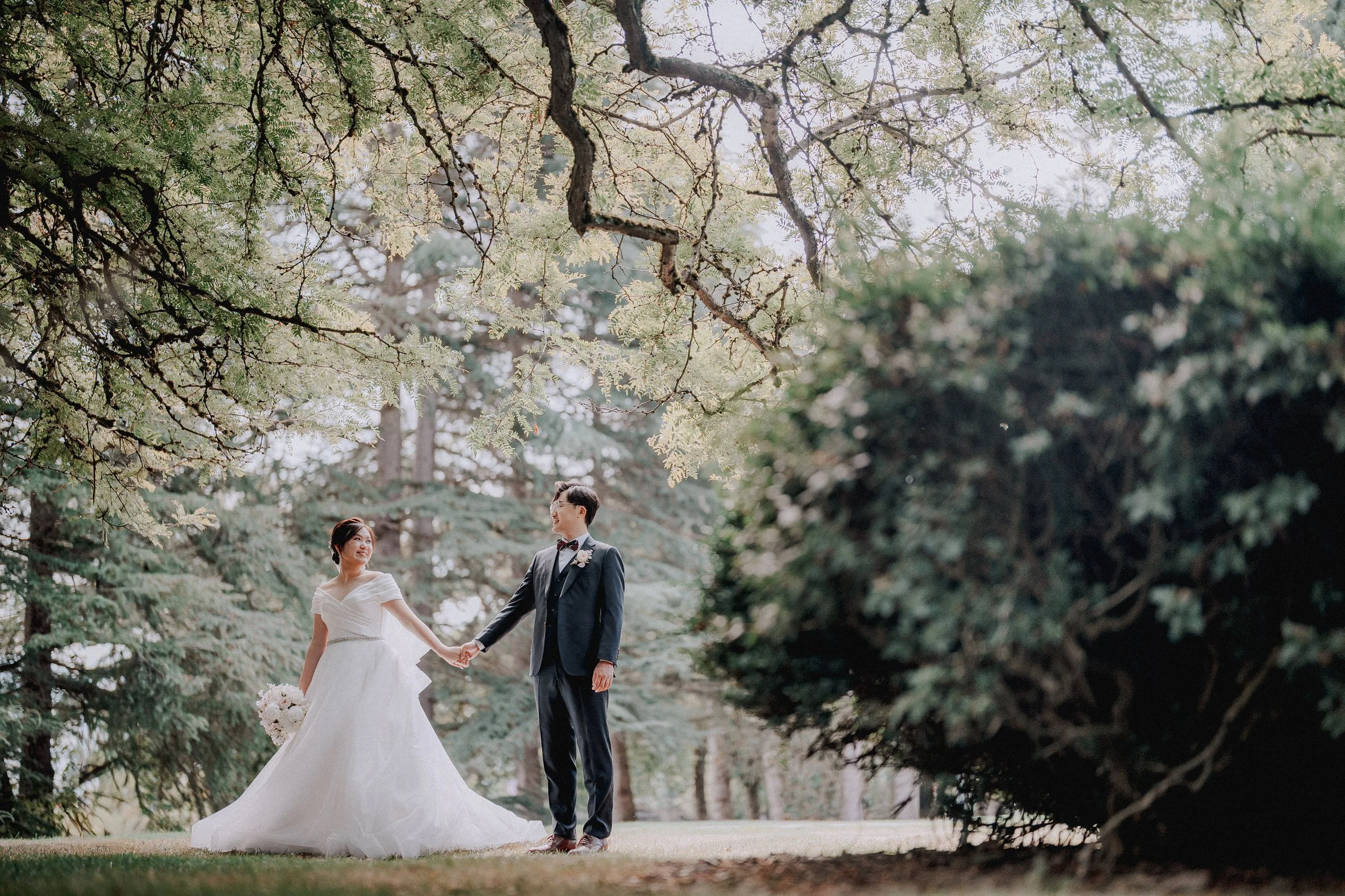 Bride and groom holding hands beneath spreading tree branches.