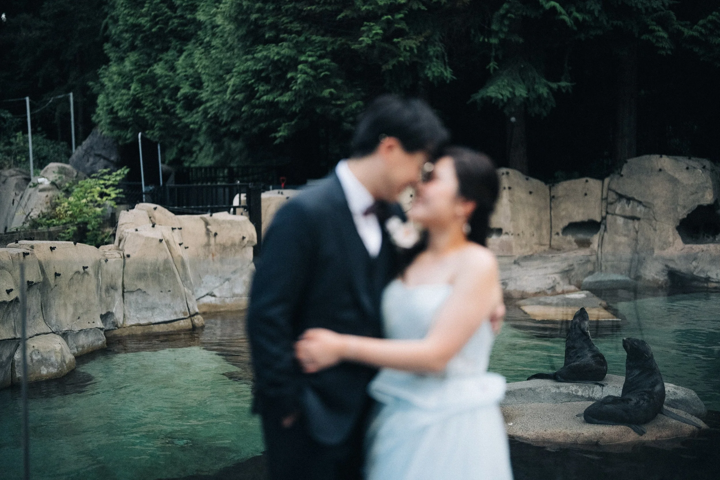 Bride and groom kissing beside an outdoor marine-animal pool at Vancouver Aquarium.