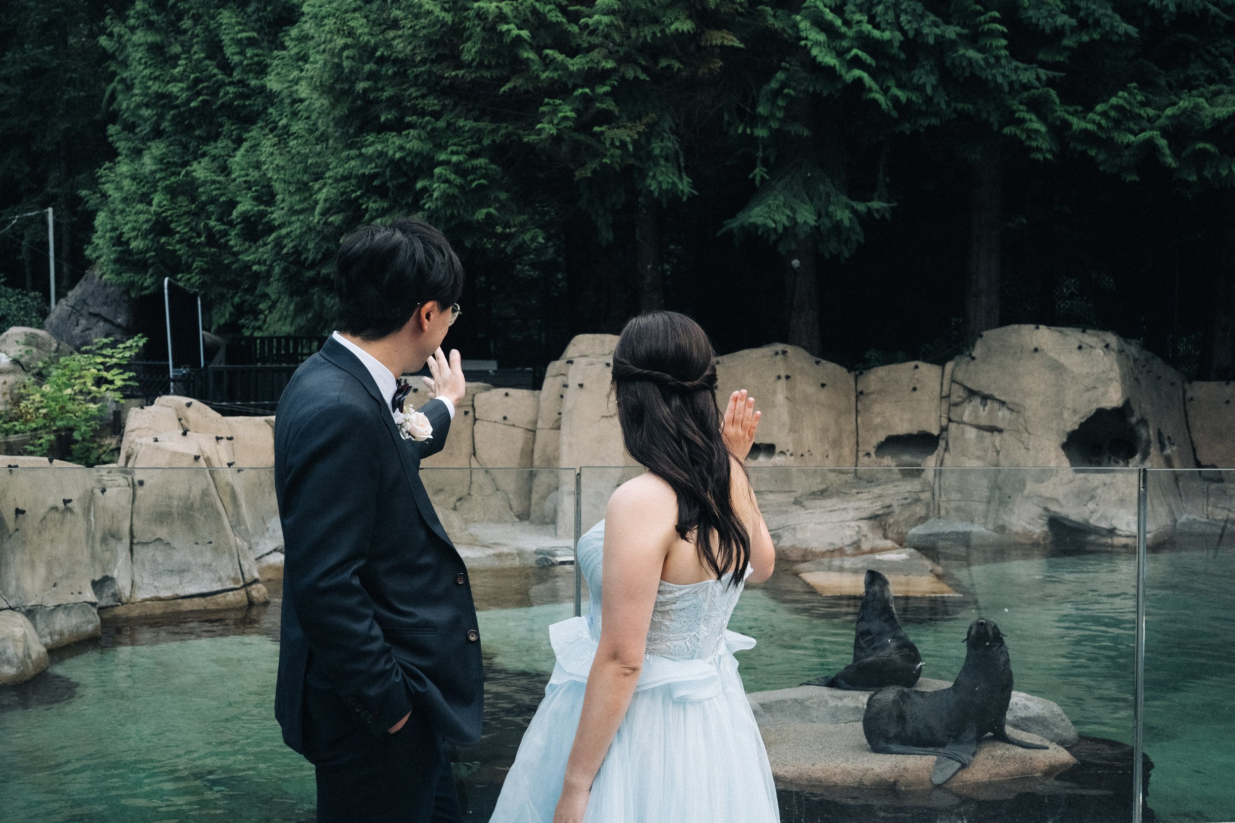 Couple watching the outdoor marine-animal exhibit at Vancouver Aquarium.