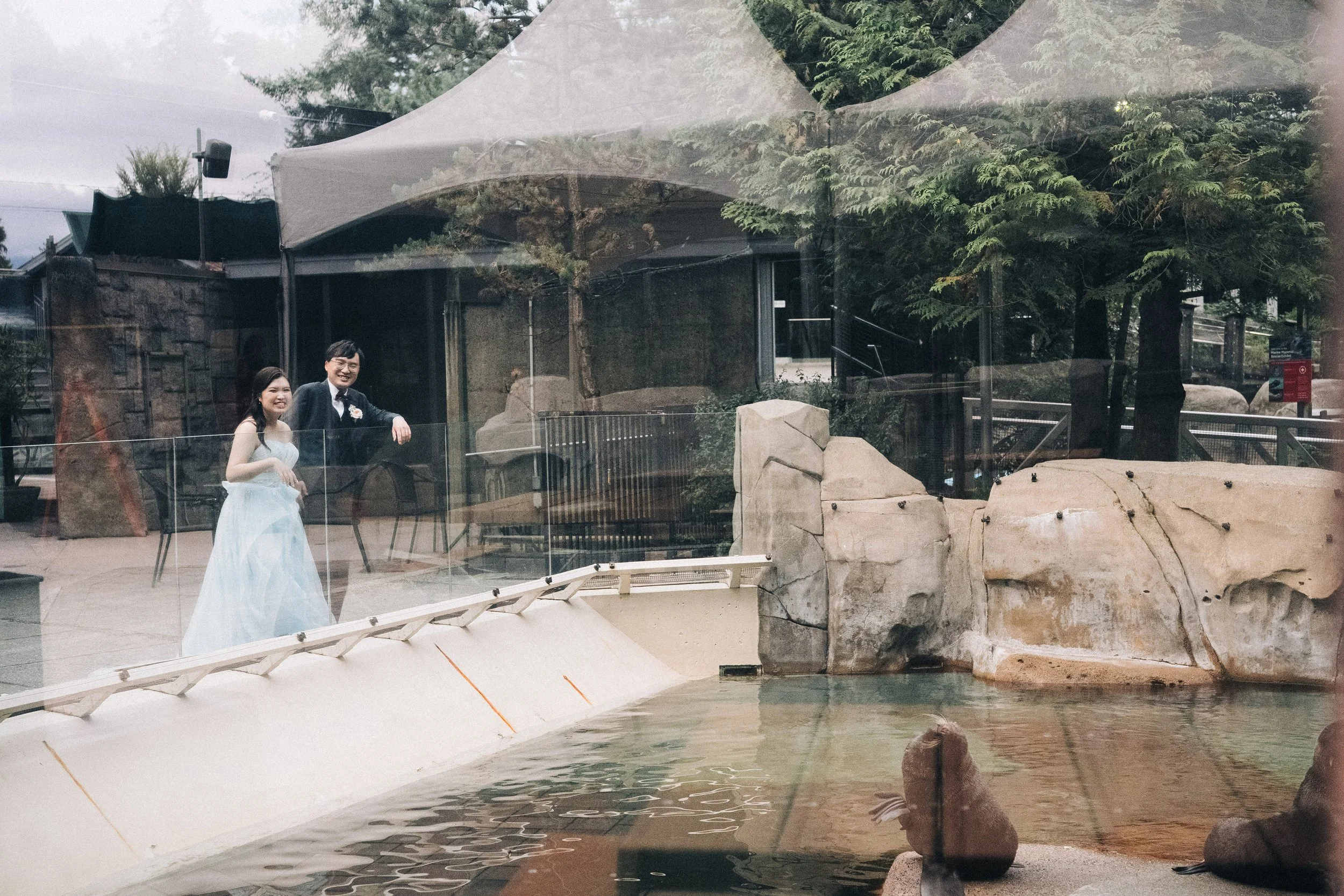 Bride and groom beside the glass wall of an outdoor marine-animal pool.