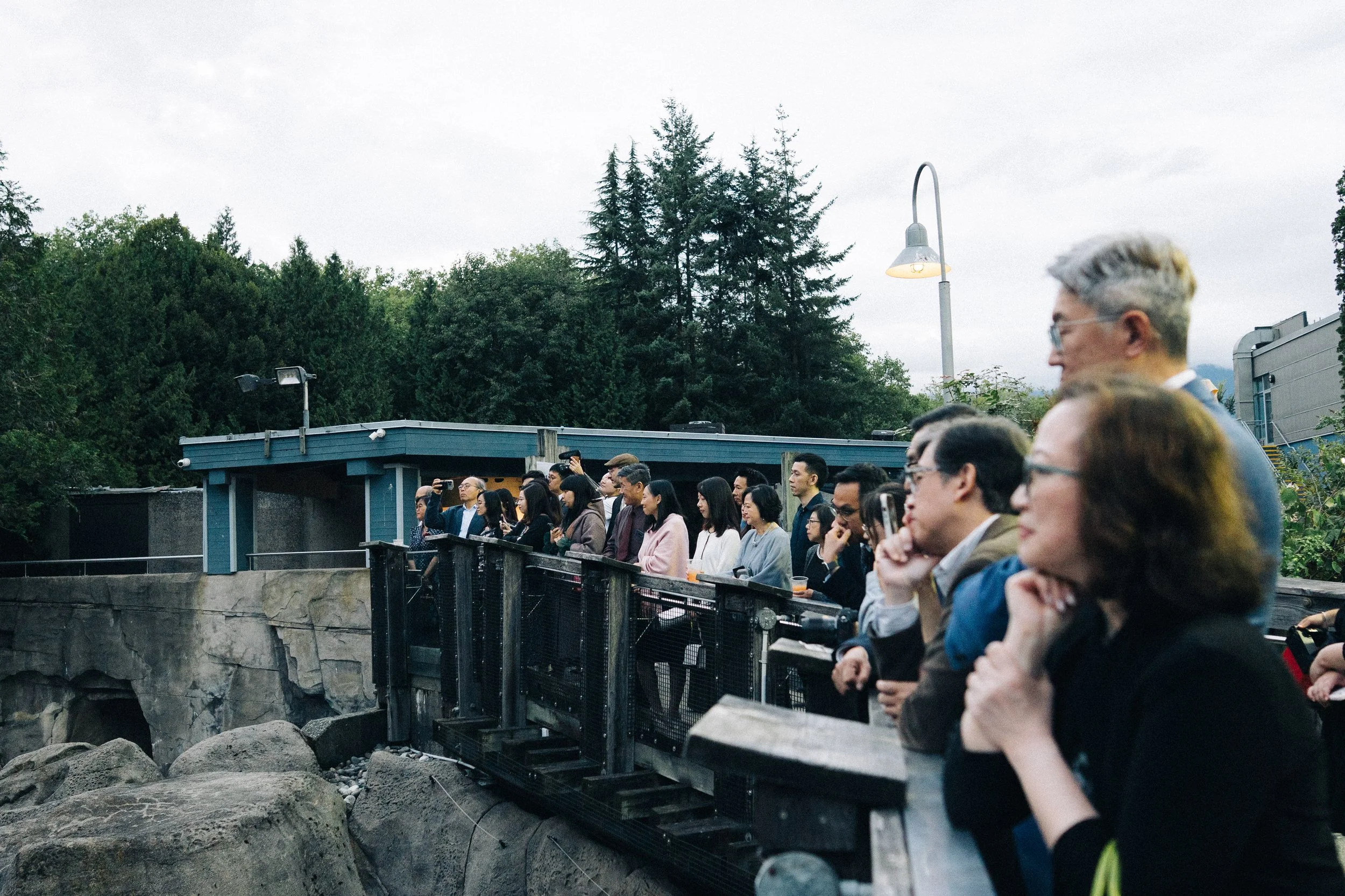 Wedding guests watching from a timber railing beside the outdoor aquarium pool.