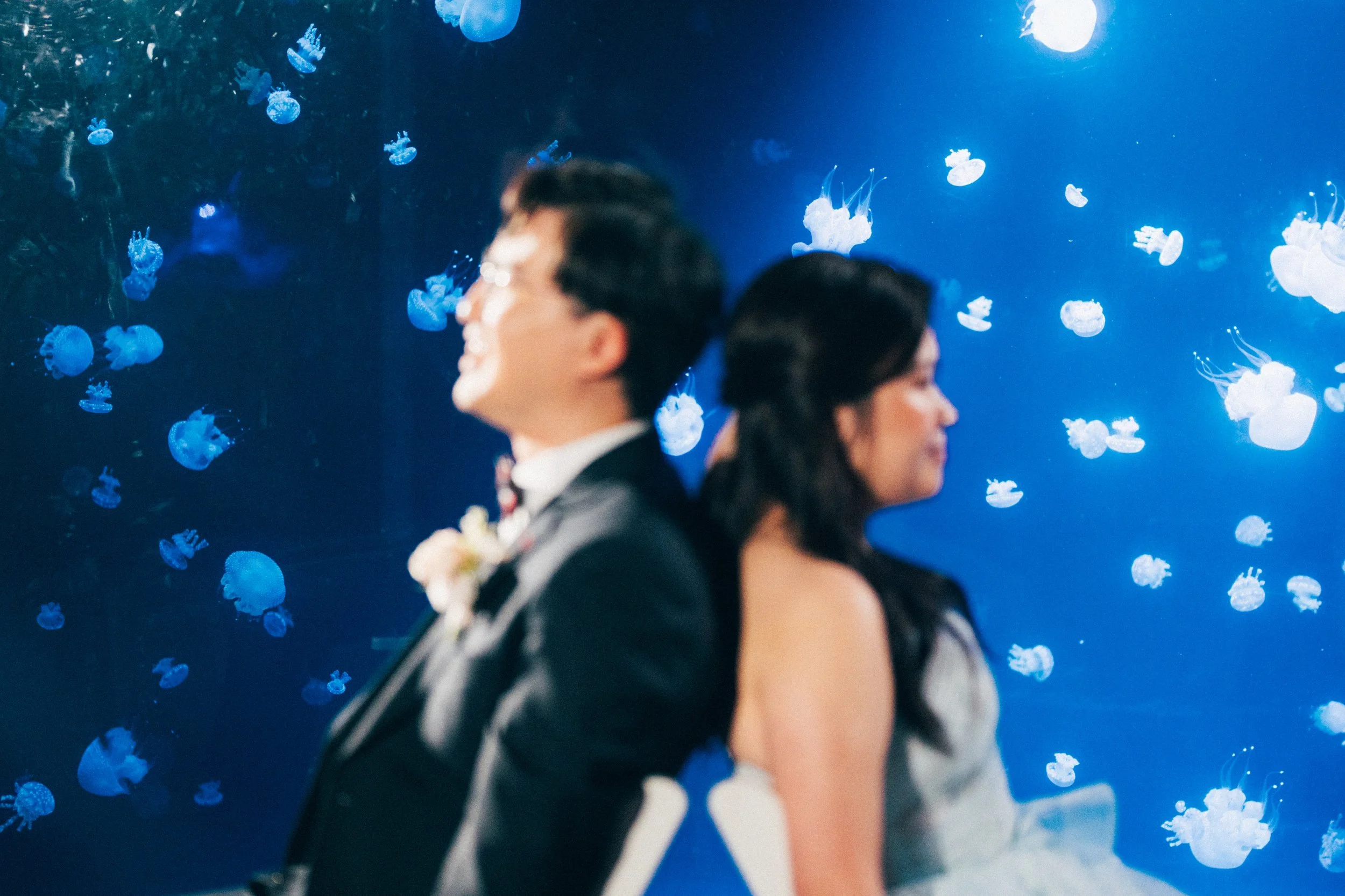 Bride and groom seated back to back in front of a blue jellyfish tank.