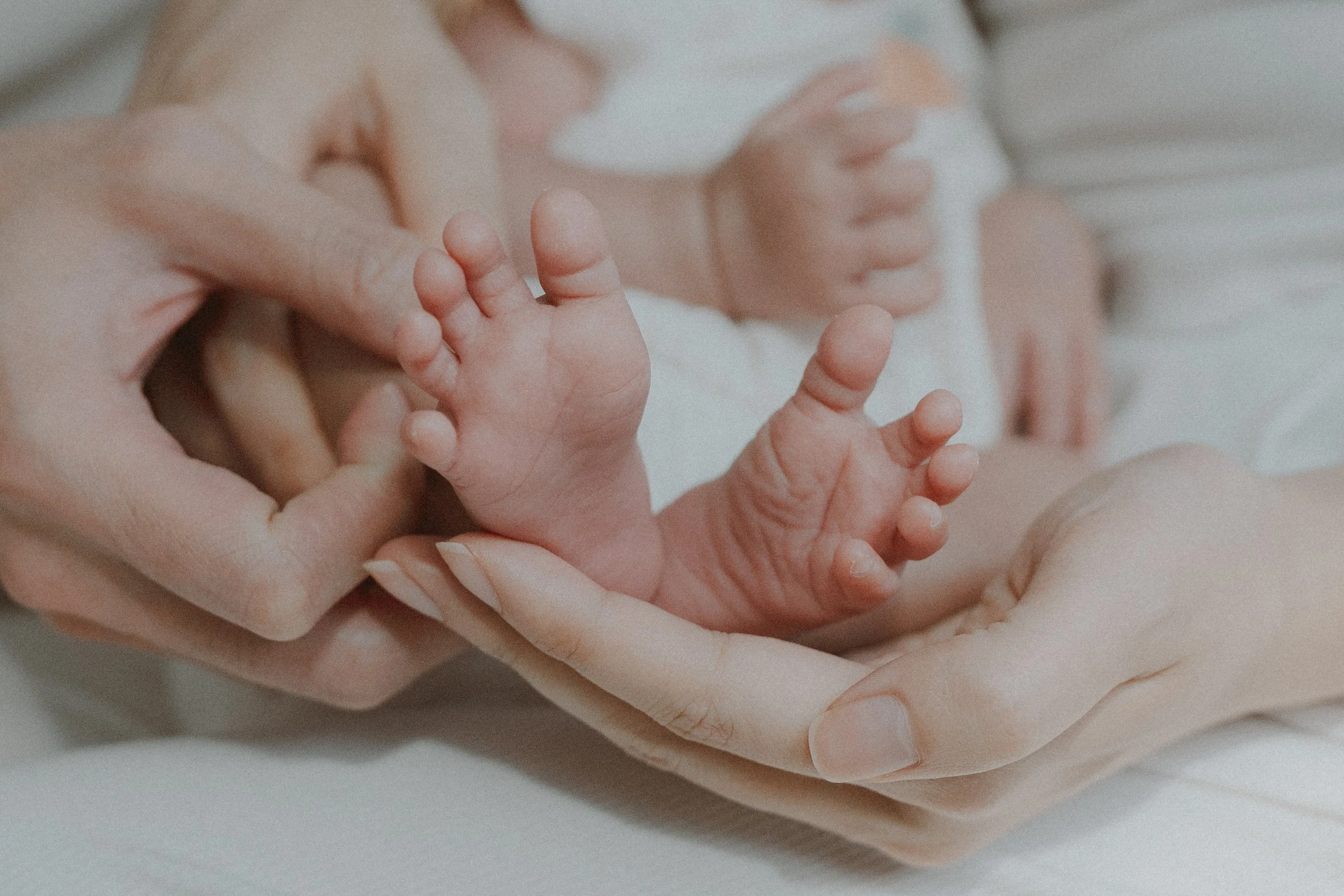 Close-up of a newborn's feet resting in both parents' hands.