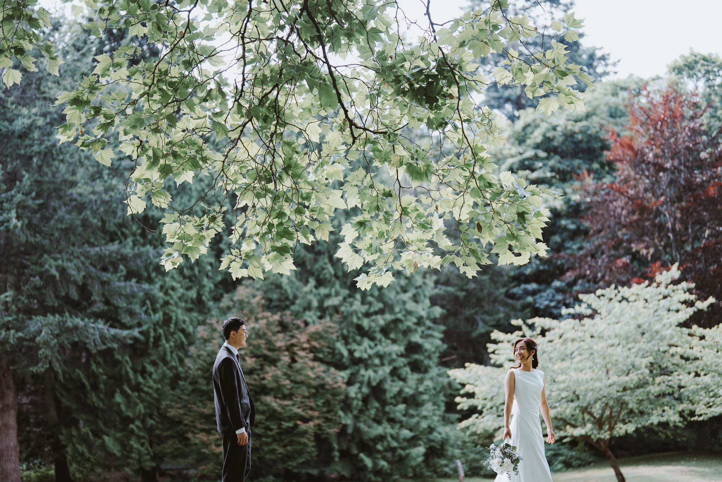 Chloe and Marco beneath Stanley Park trees