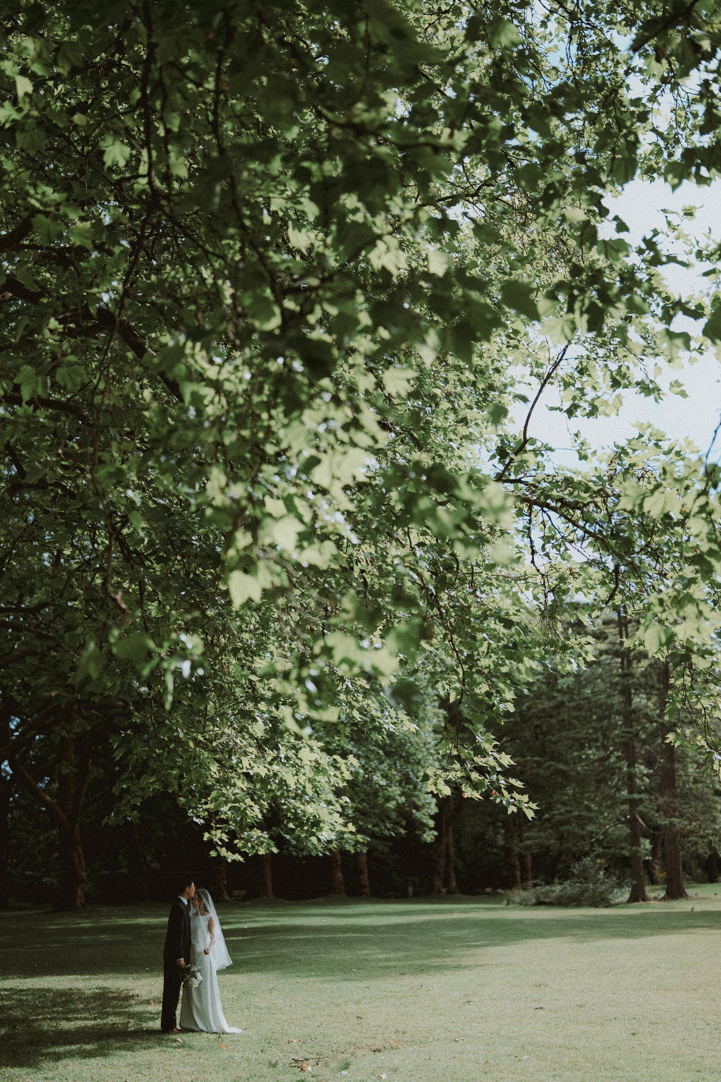 Quiet tree canopy and open lawn at Stanley Park