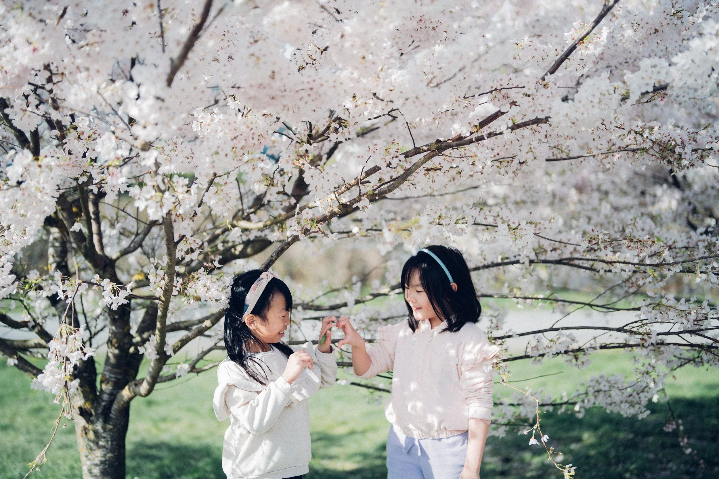 Two young girls standing under a cherry blossom tree in Vancouver, smiling at each other and making a heart gesture with their hands amidst blooming flowers.