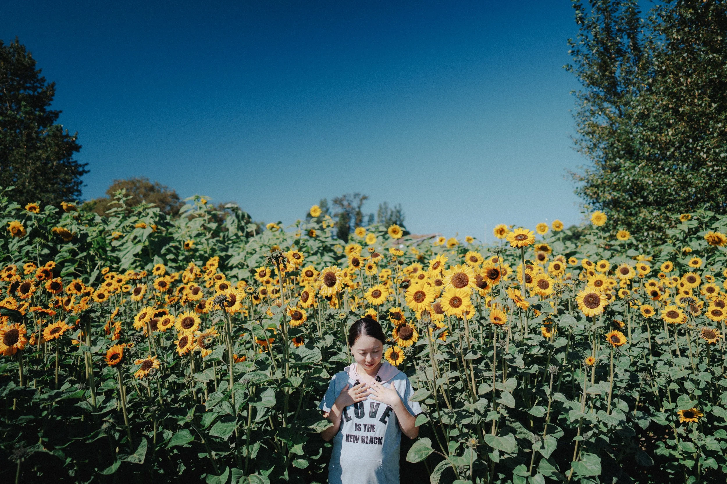  She stood in the middle of the sunflowers, hands near her chest, eyes lowered. The flowers were tall, the light was soft. It felt like a quiet pause. 