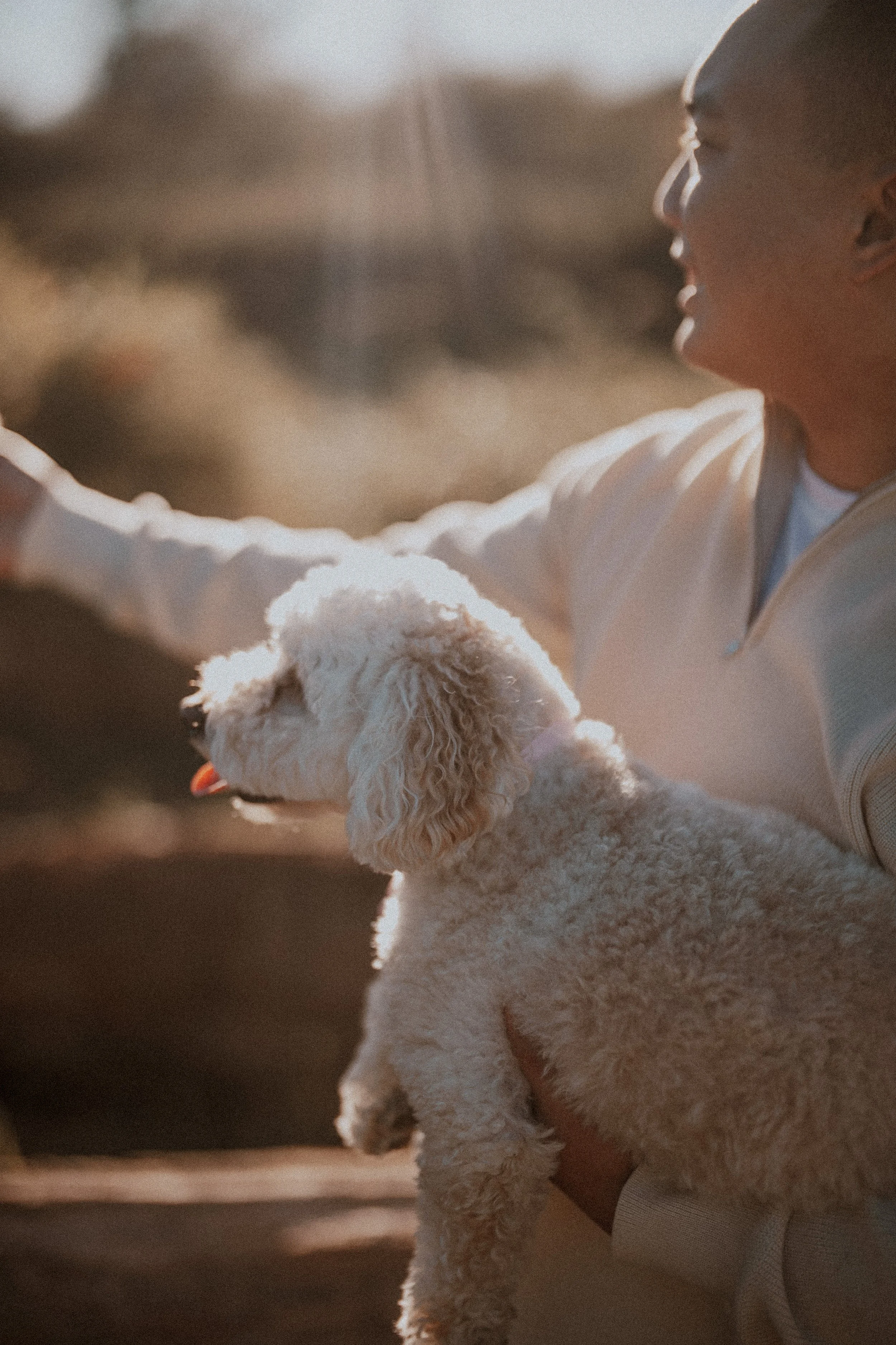  The groom shares a sweet moment holding their dog in the warm, dramatic backlight. 