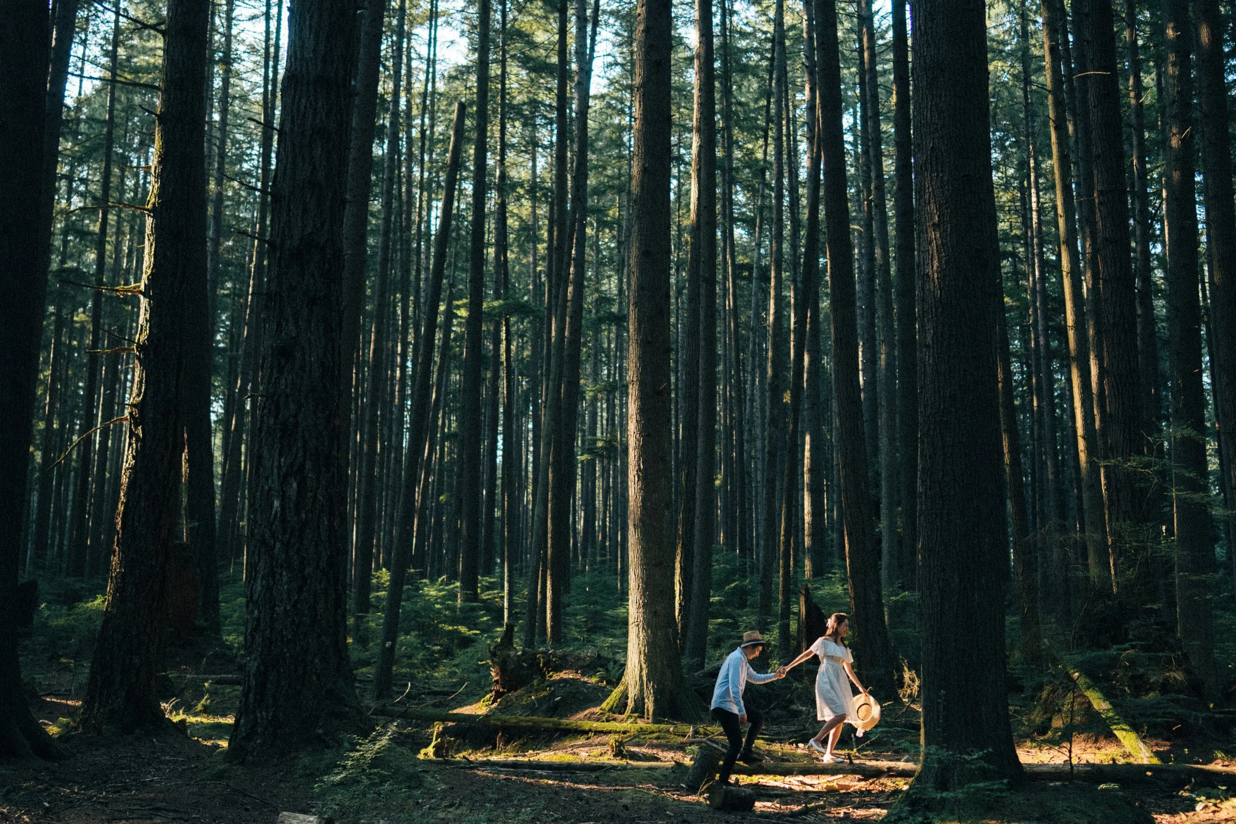  A beautiful portrait of the couple walking along the mossy forest trail, framed by the dense greenery. 