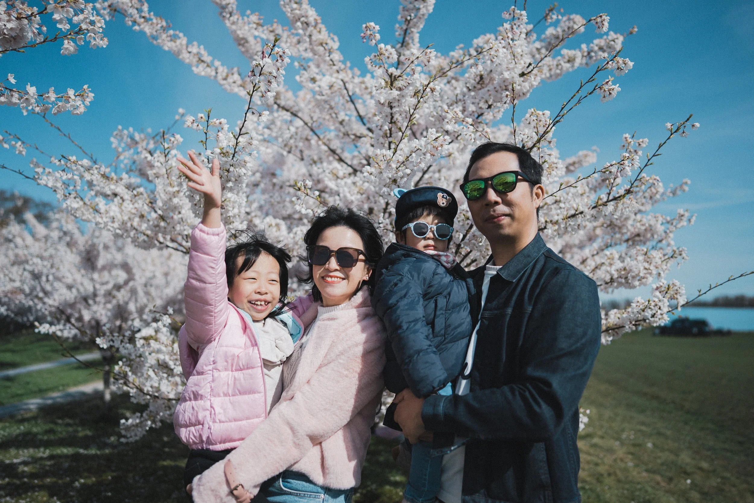 A joyful family portrait of parents holding their two smiling children, with the daughter on the left waving, positioned in front of blooming pink cherry blossom trees in Vancouver on a sunny day.