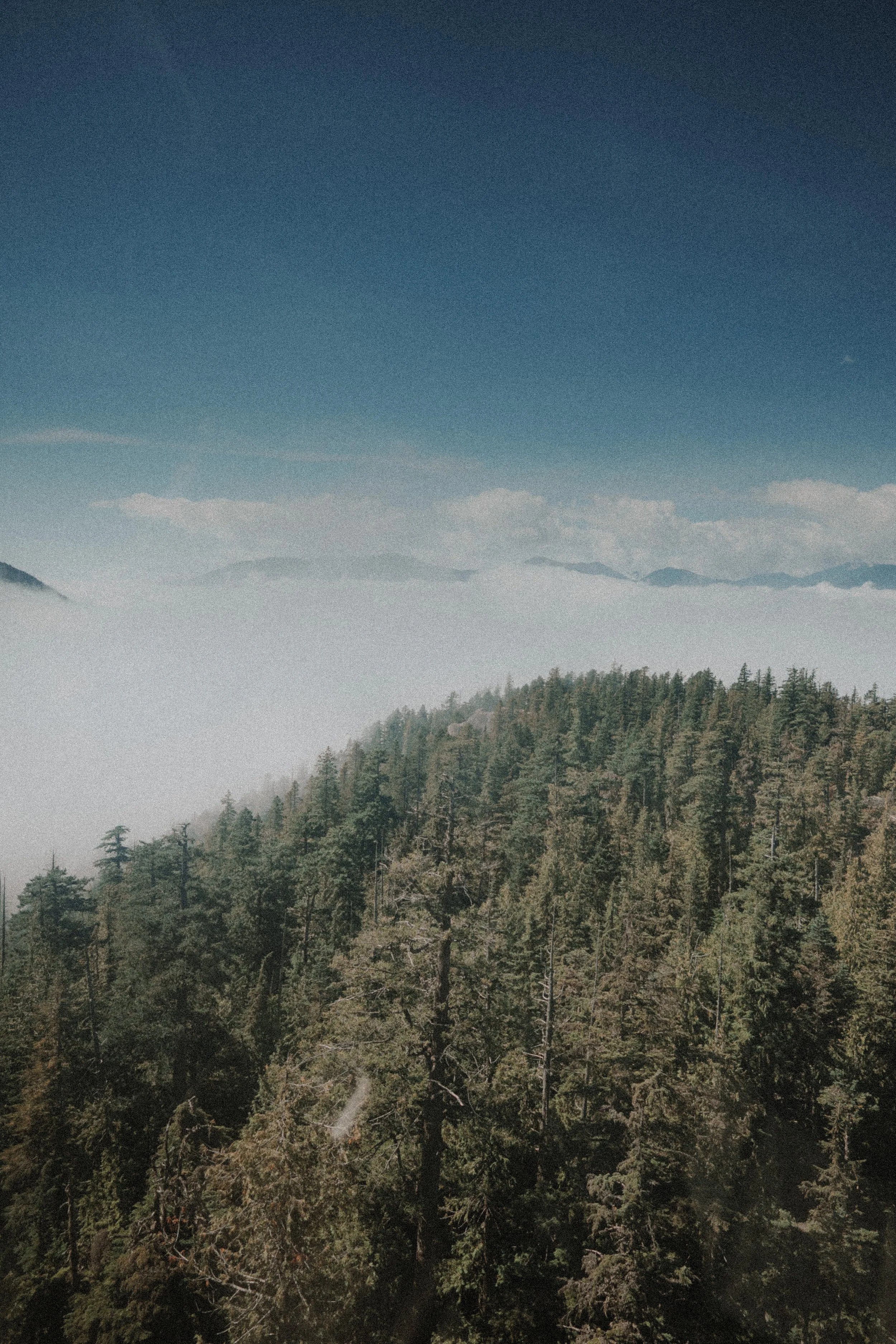  Breathtaking panoramic views from the Sea to Sky Gondola, capturing the majestic mountains and Howe Sound below. 