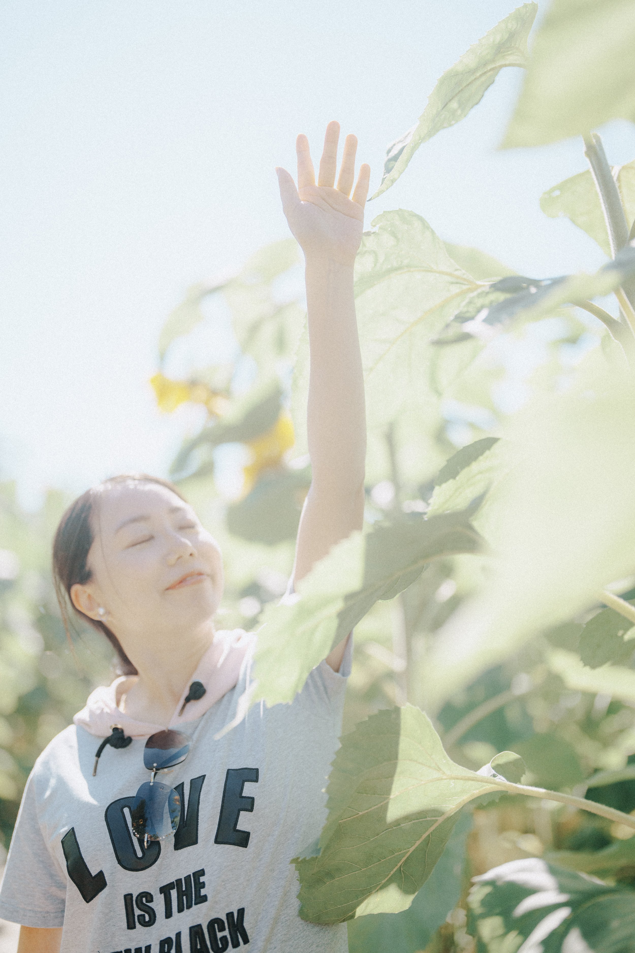 Person standing with arm raised in sunflower field at Richmond Country Farms