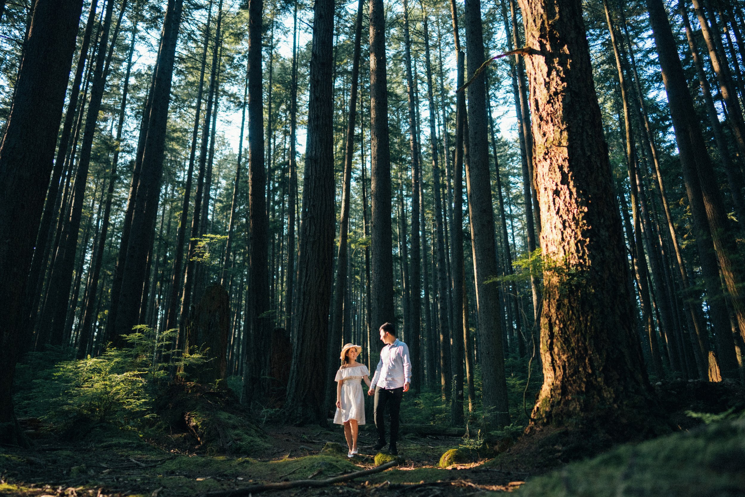  The couple stands small against the giant trees of  Pacific Spirit Park , capturing the grand scale of nature. 