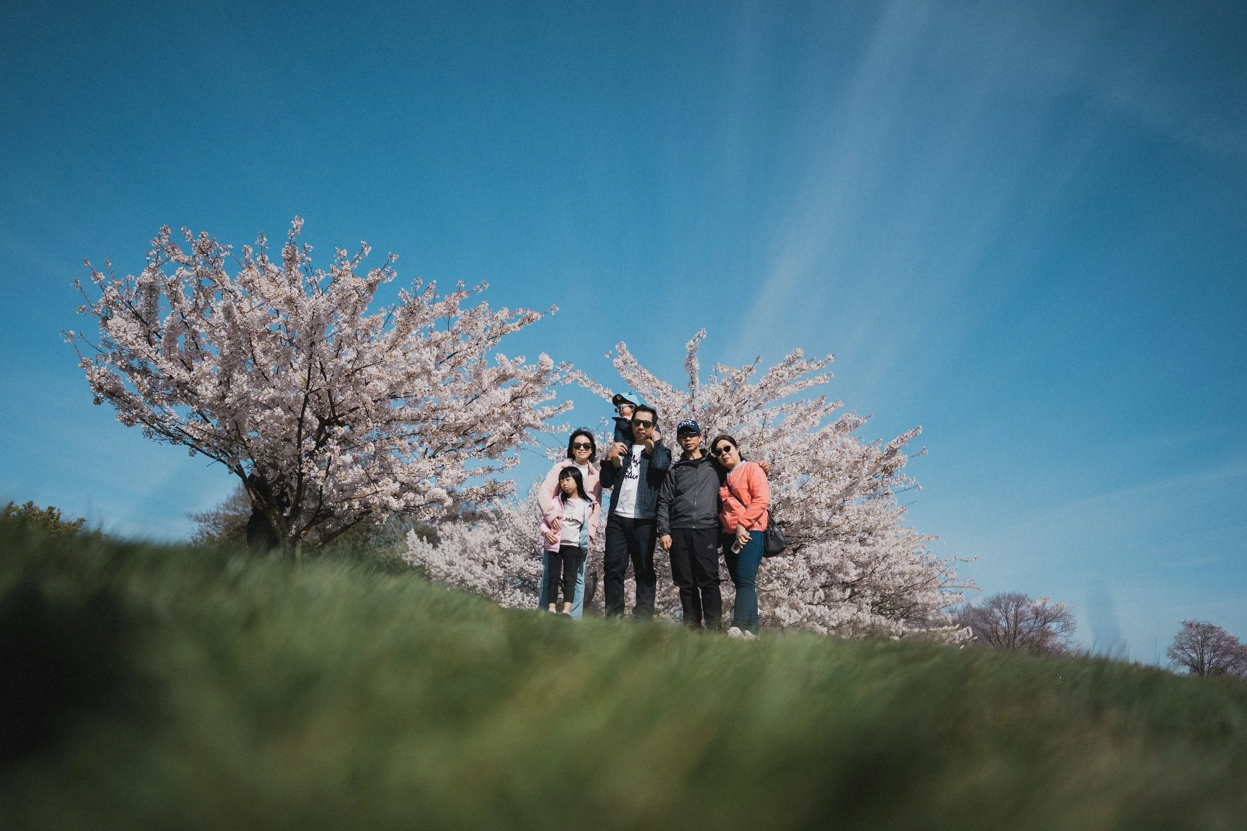 A wide-angle, low-angle shot of a multi-generational family of six standing together under blooming cherry blossom trees in Vancouver, featuring grandparents, parents, and two children against a vast blue sky.