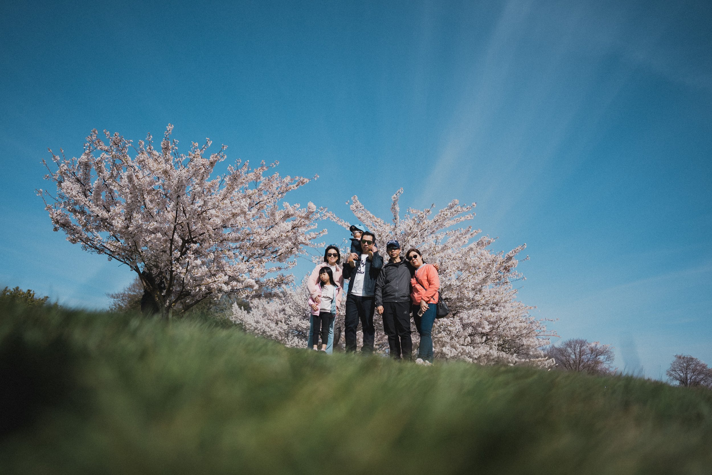  Family heritage framed by spring. There is something profoundly beautiful about gathering three generations together under the Vancouver blooms—a timeless memory for the whole family to cherish. 