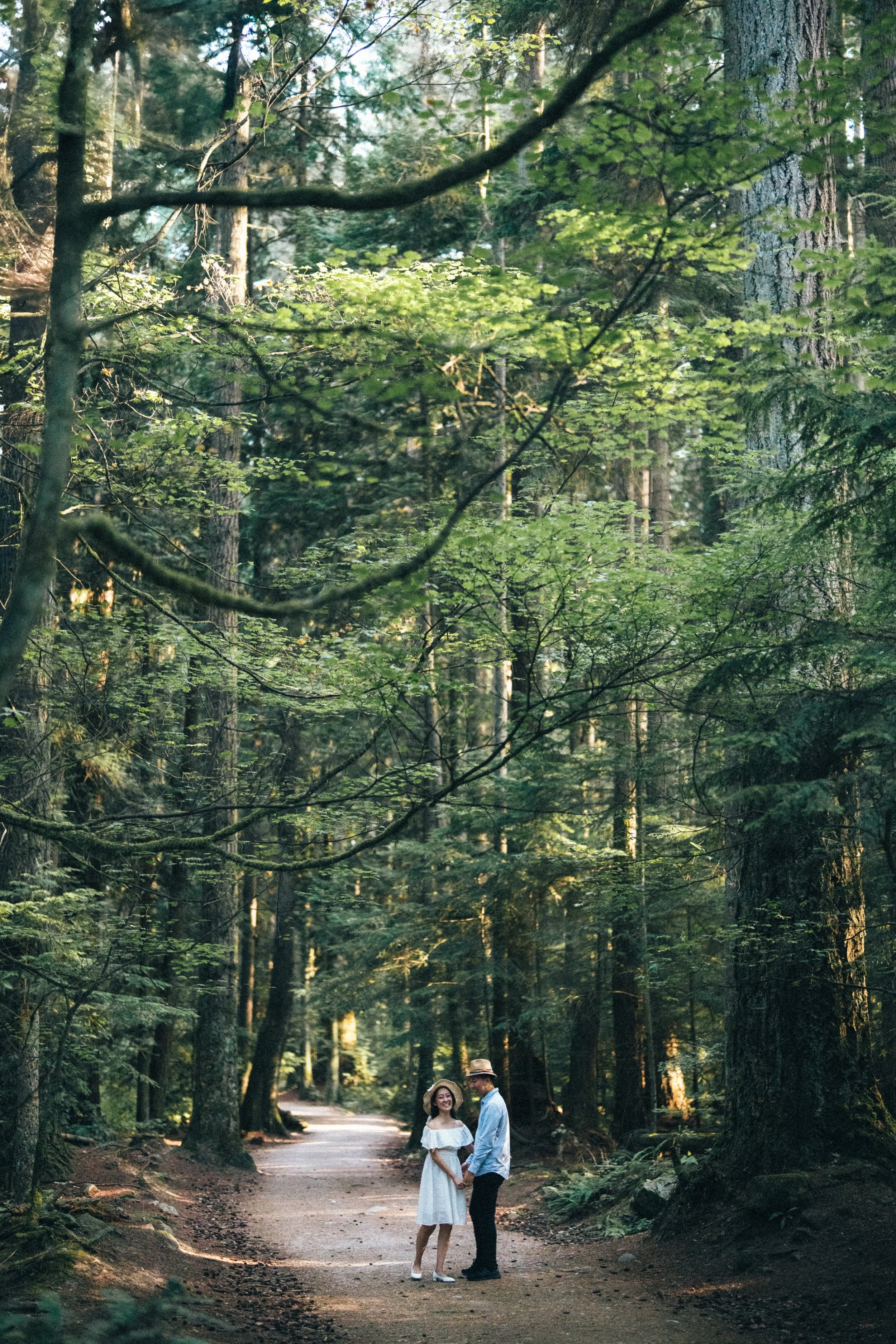  A beautiful wide shot of the couple standing on the path, framed by the dense forest. 