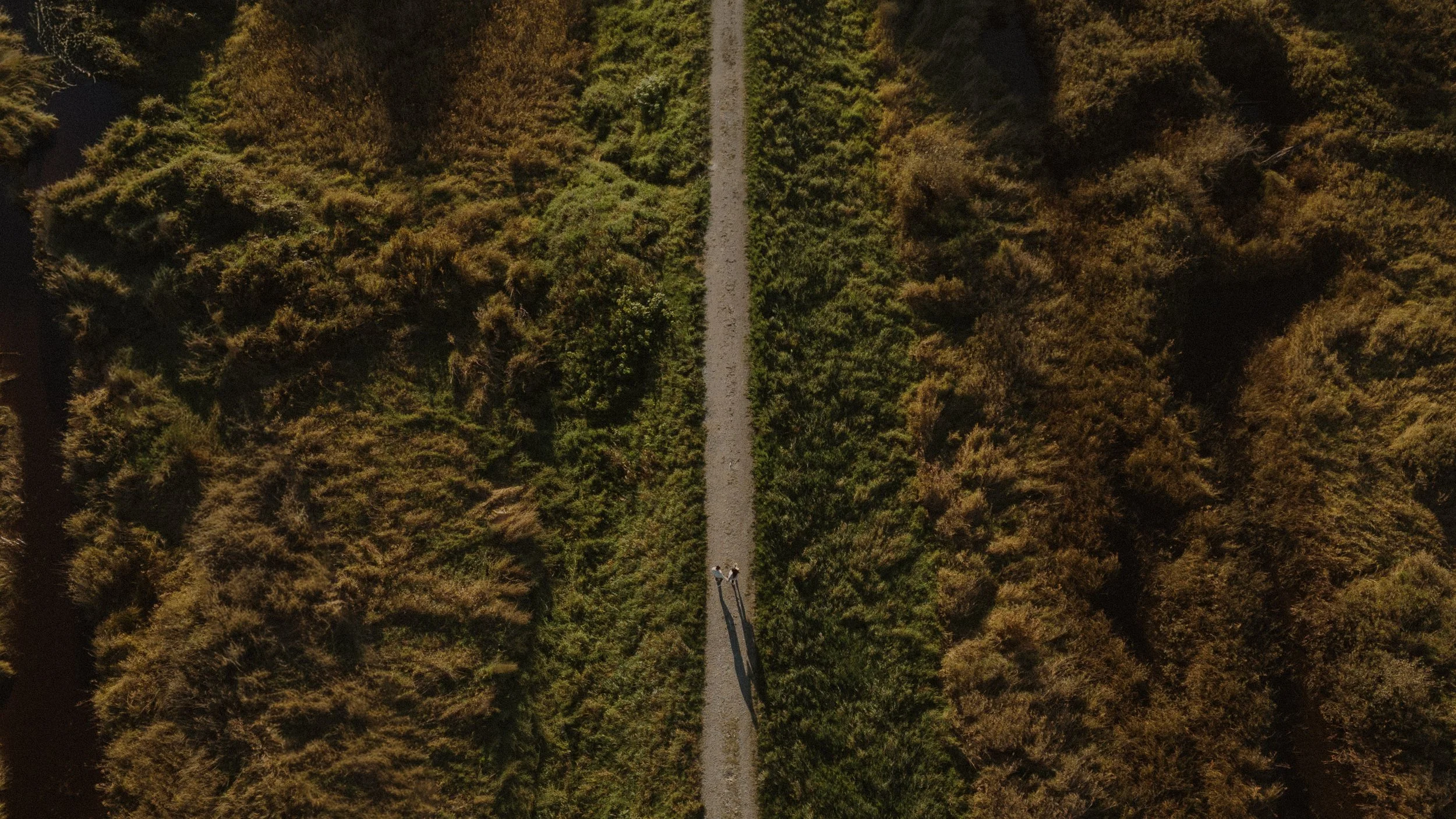  A dramatic, top-down view of the couple walking along a trail, emphasizing the vast scale of the Pitt Lake natural environment. 