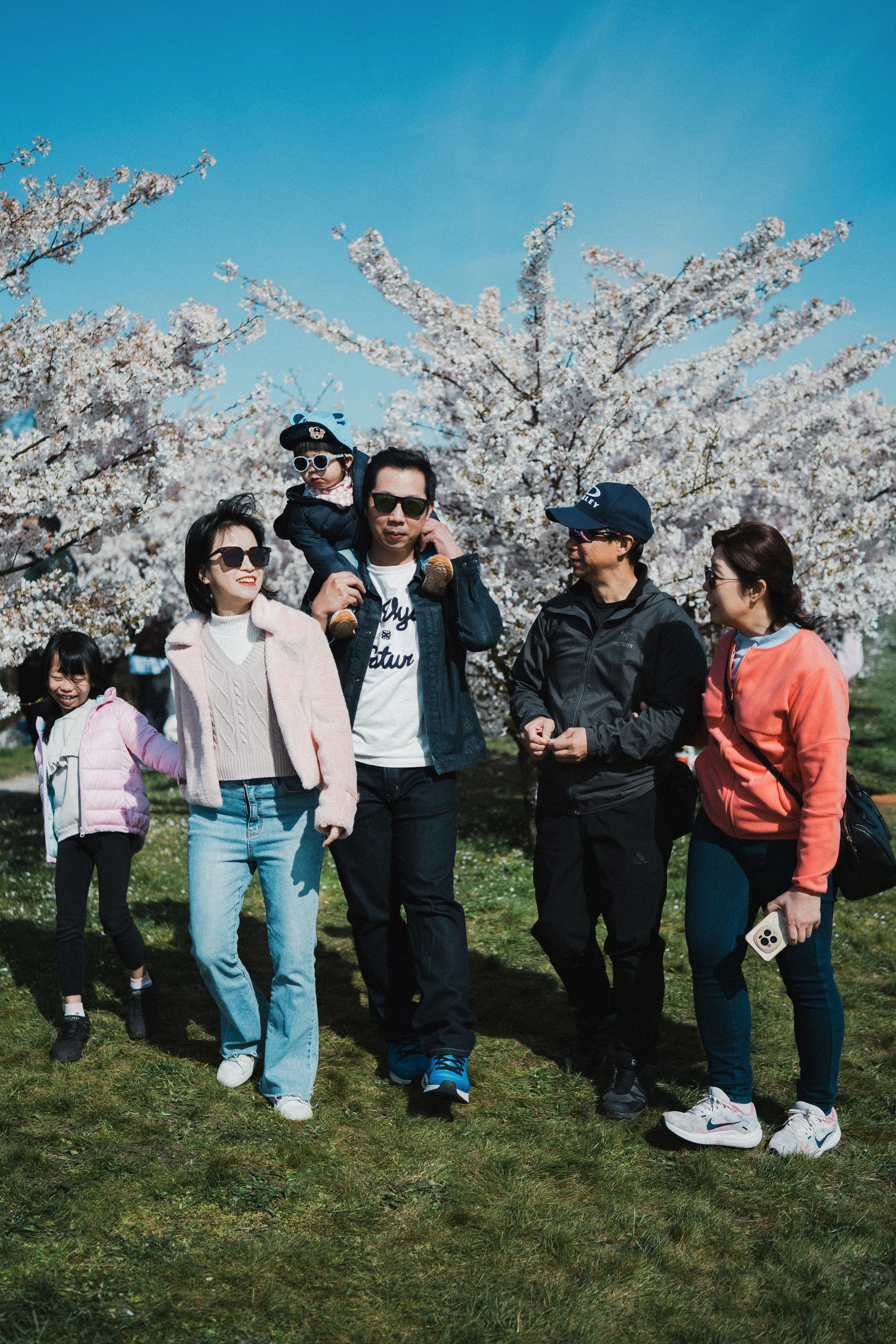 A candid lifestyle shot of a multi-generational family walking and interacting under cherry blossom trees in Vancouver, capturing natural movements and genuine smiles on a sunny day.