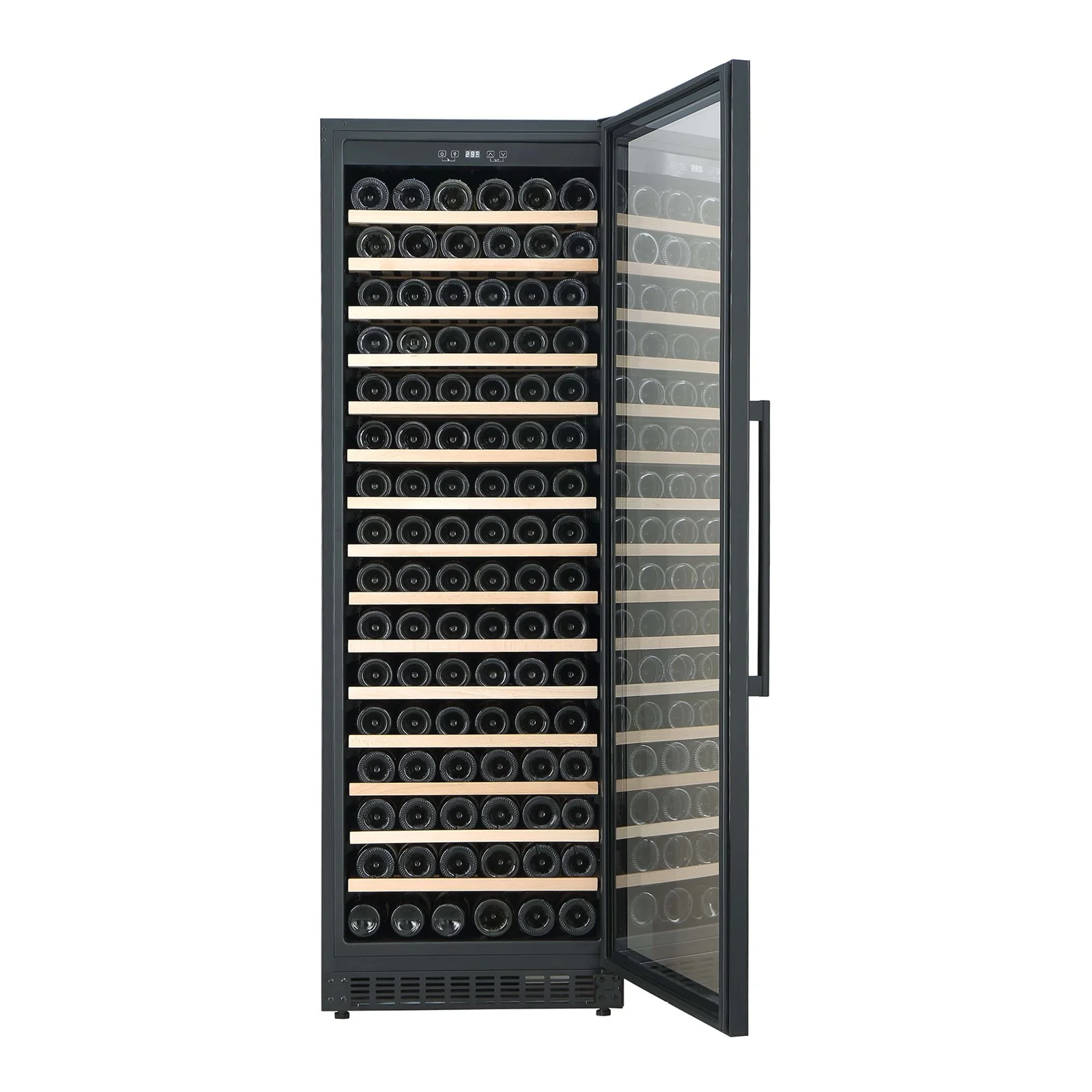CCWIS171B-03.jpg