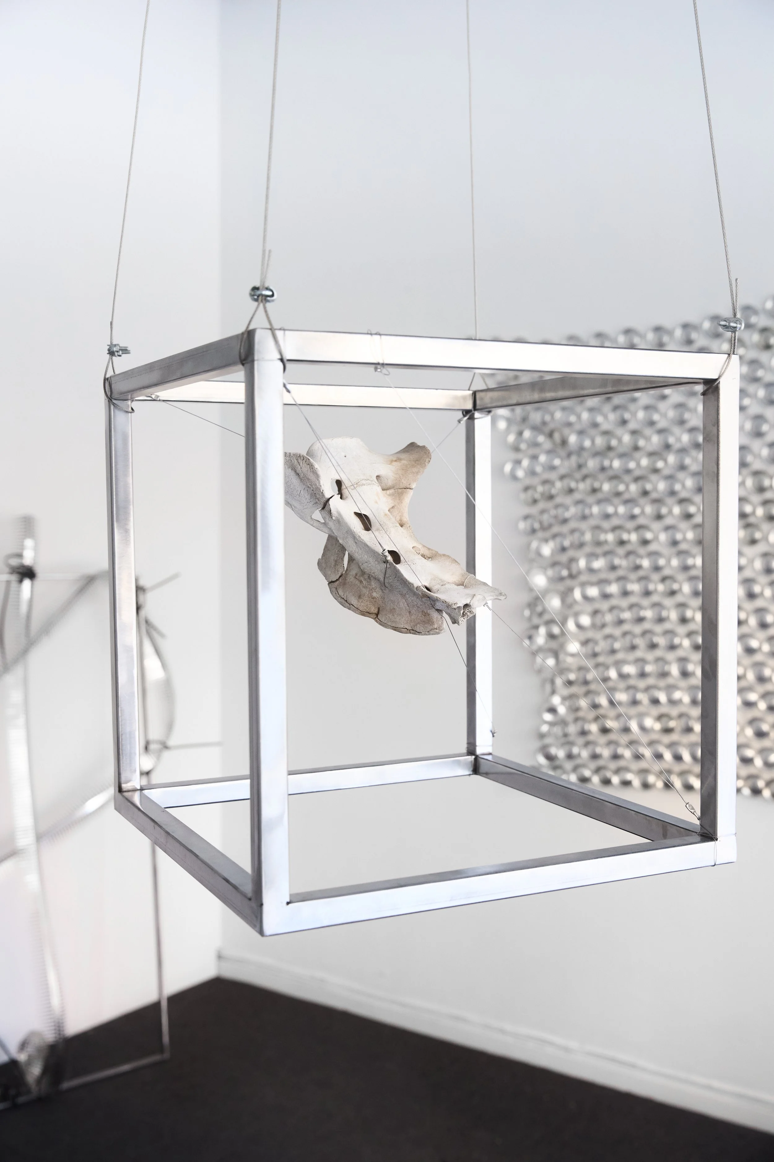 HOLD ME I  
Stainless steel cube, wiring, deer spine fragment 