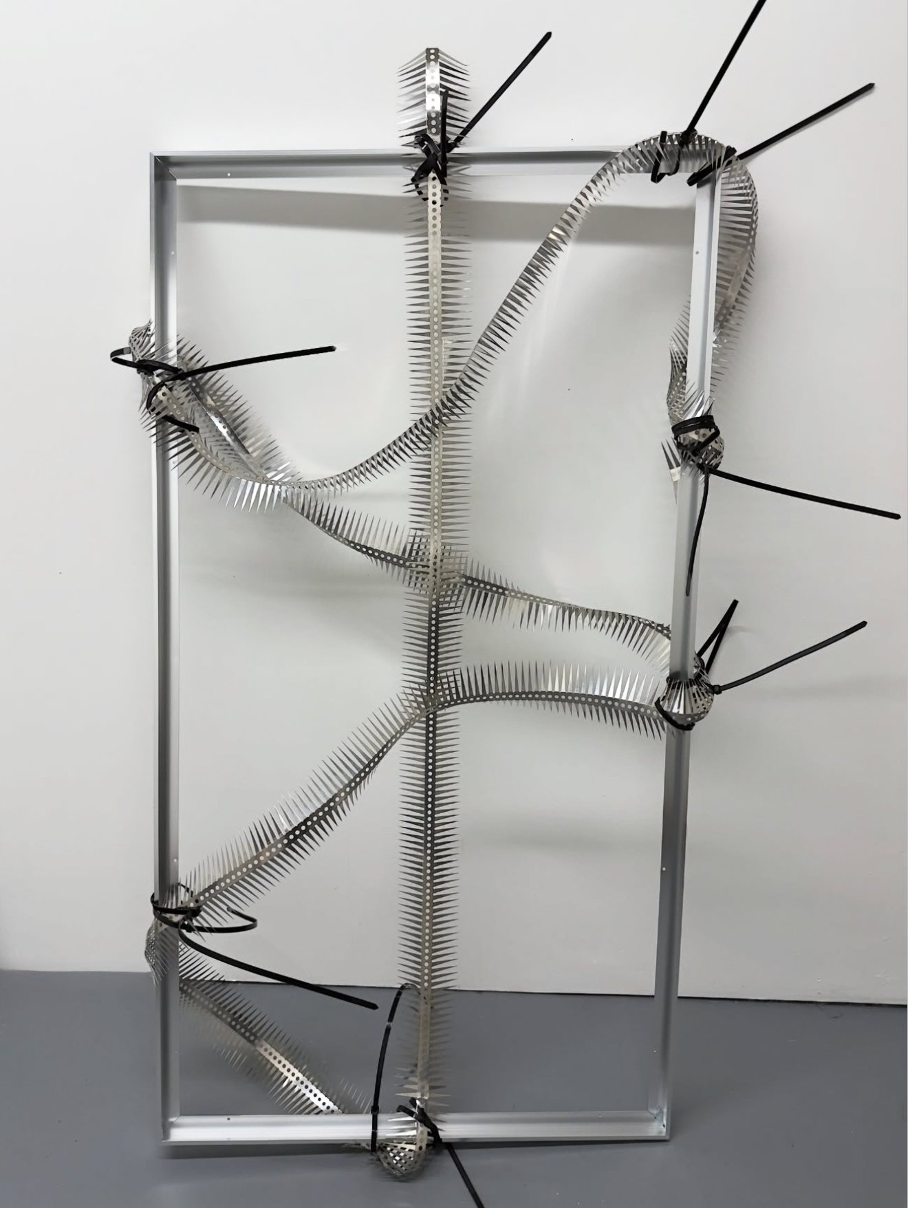 Spinal Series I, Stainless steel spikes, brushed aluminum frame, zip ties — 56 in × 30 in.