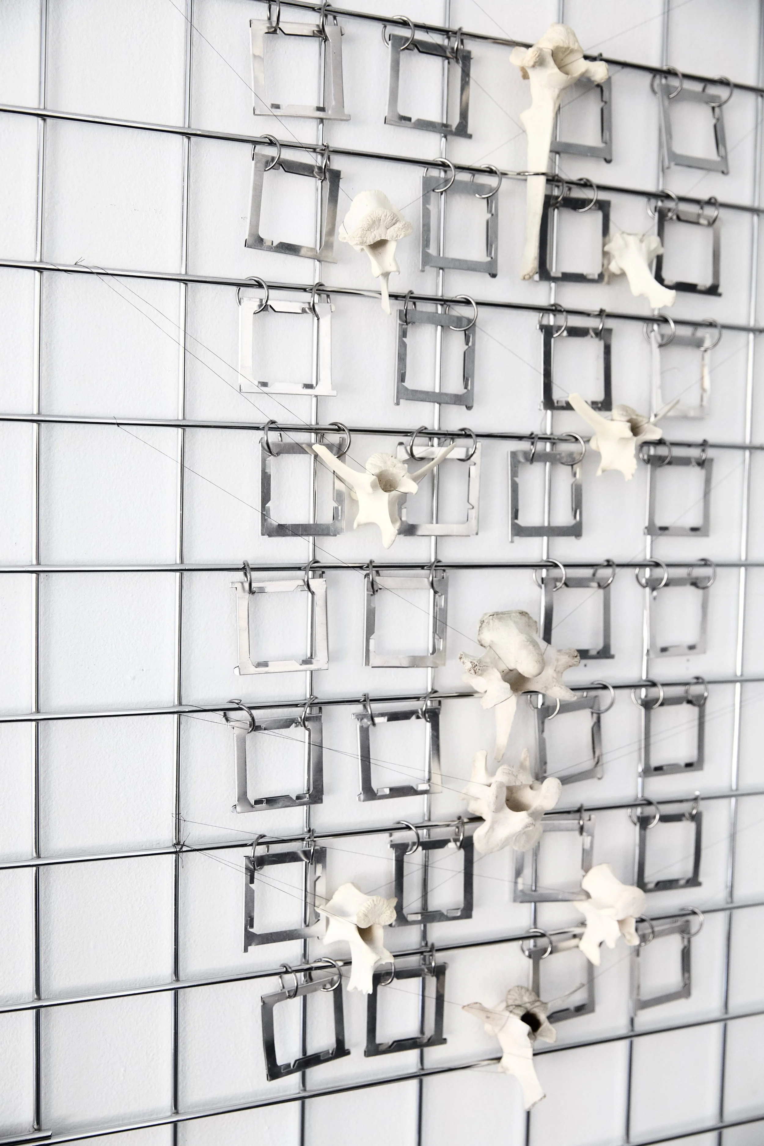ENCOUNTER: MAN AND NATURE I  
Steel grid, vintage metal film holders, deer spinal fragments 