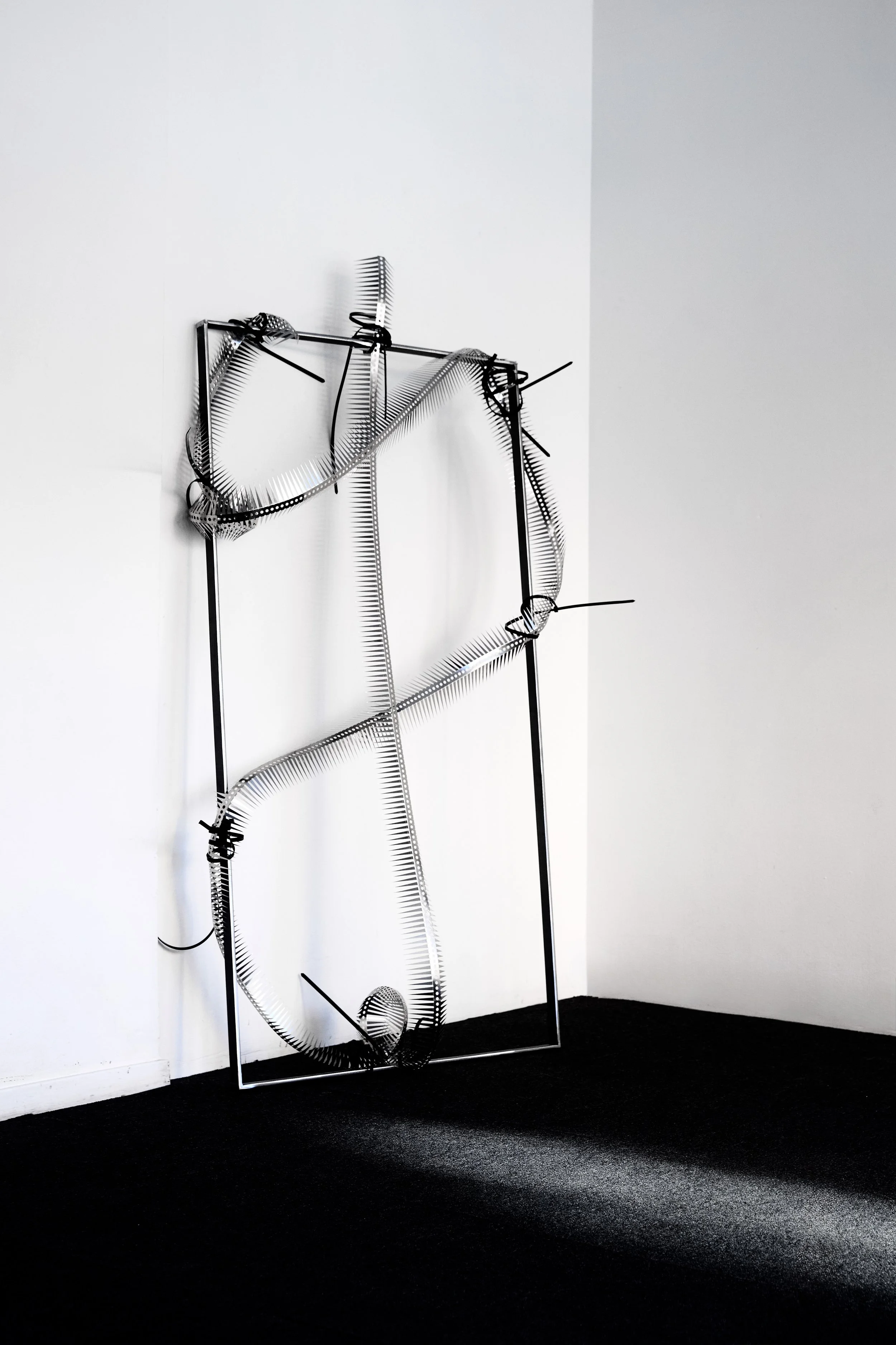 BACKBONE I  
Industrial bird spikes, stainless steel frame, zip ties